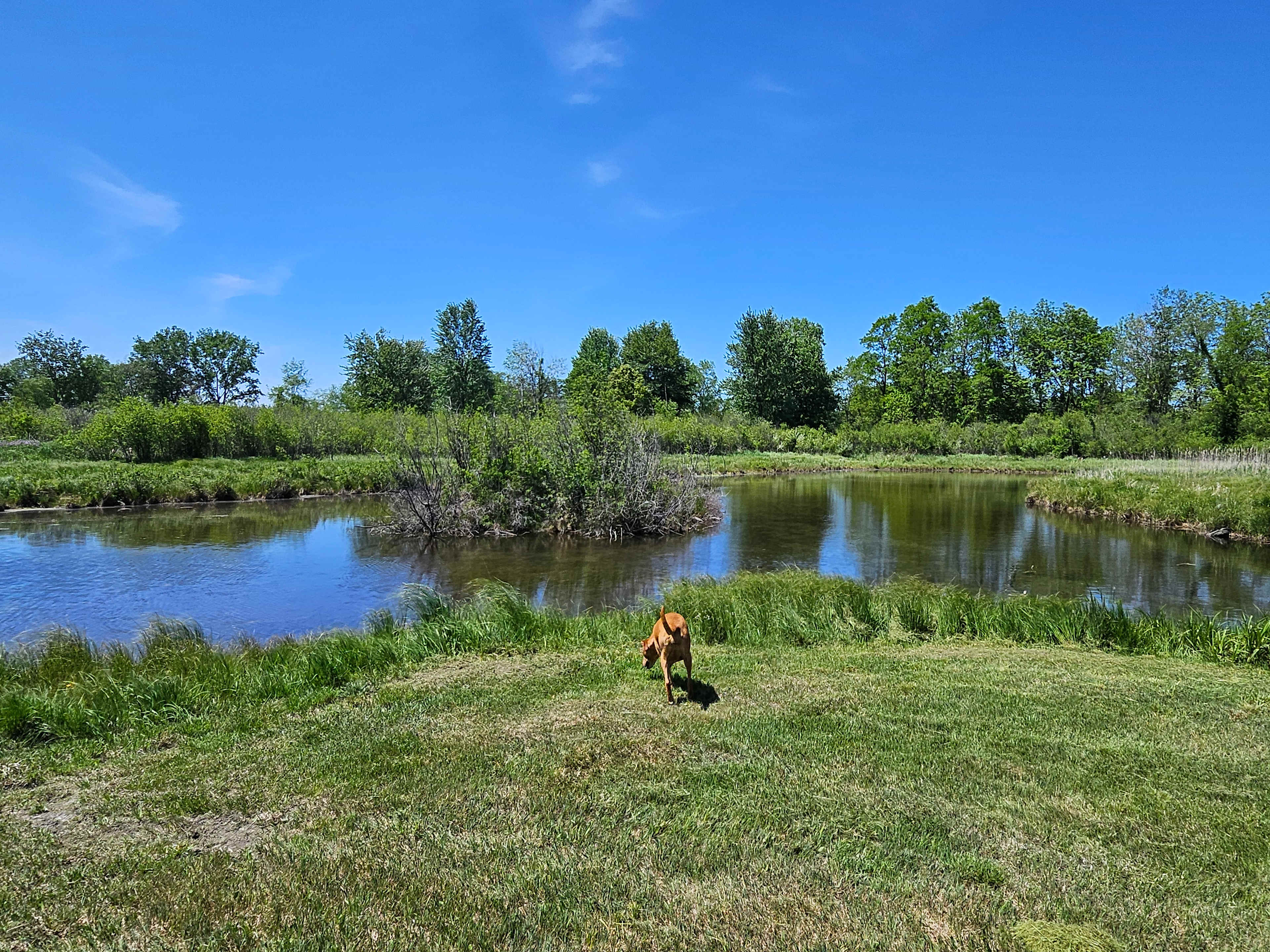 Picture of the site