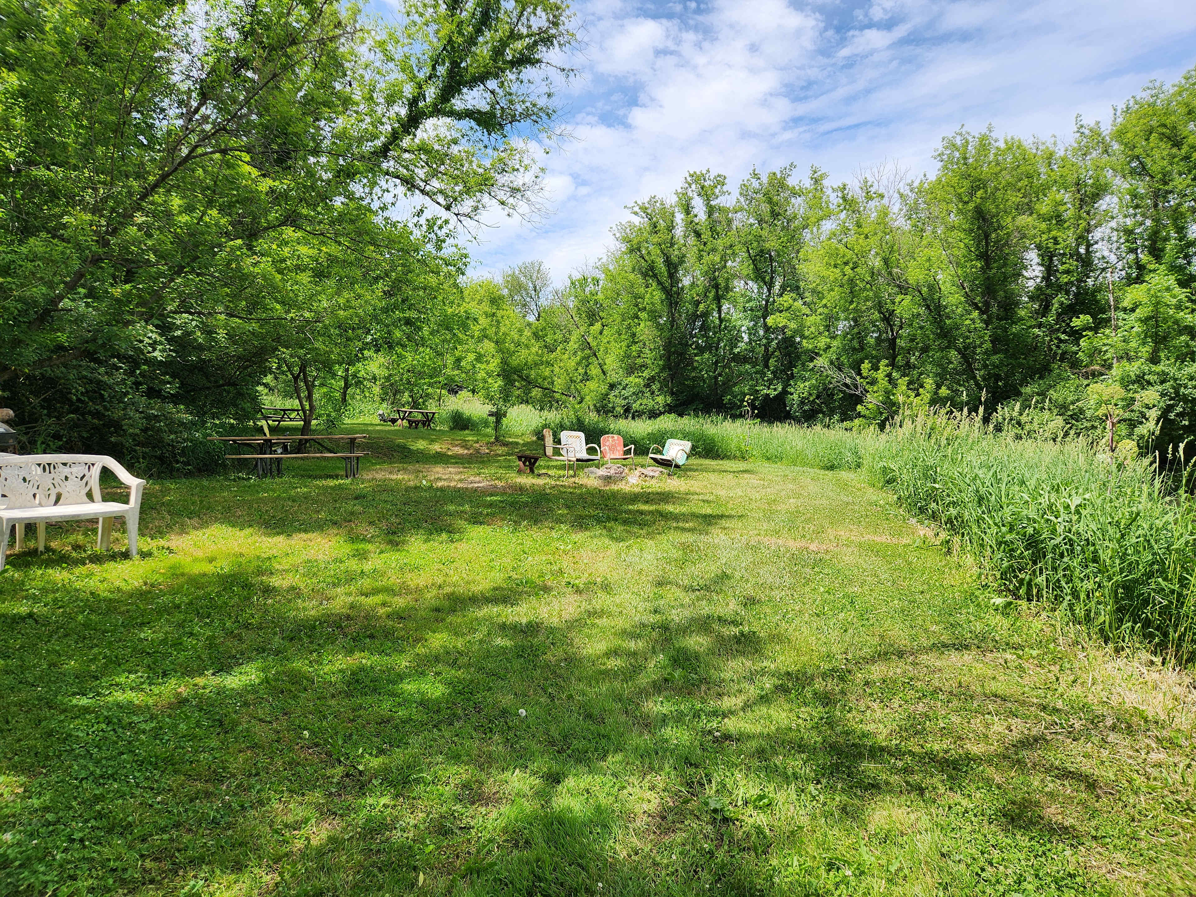 Picture of the site