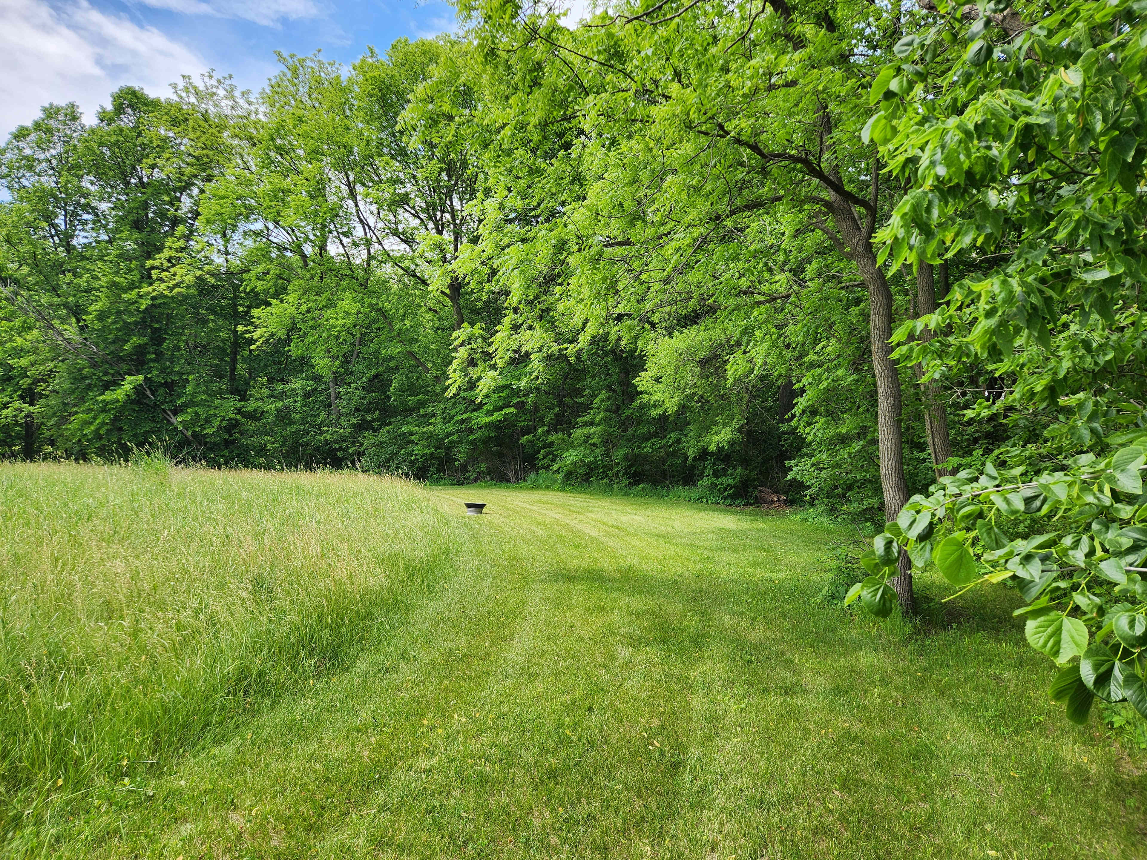 Limestone Bluff
