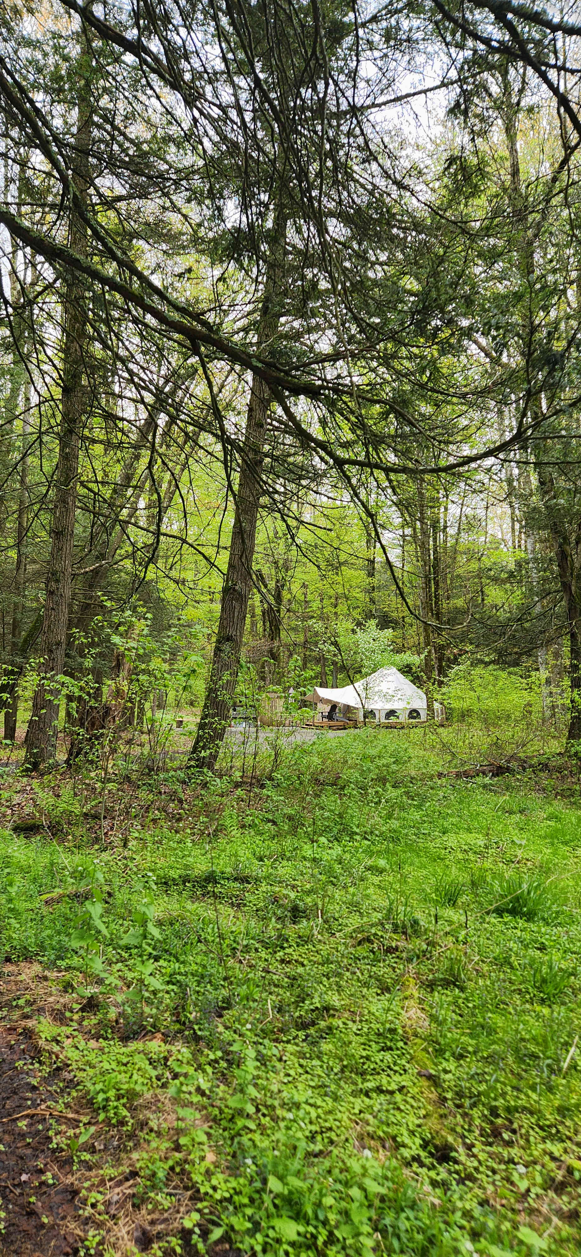 Canvas Private Glamping Yurt