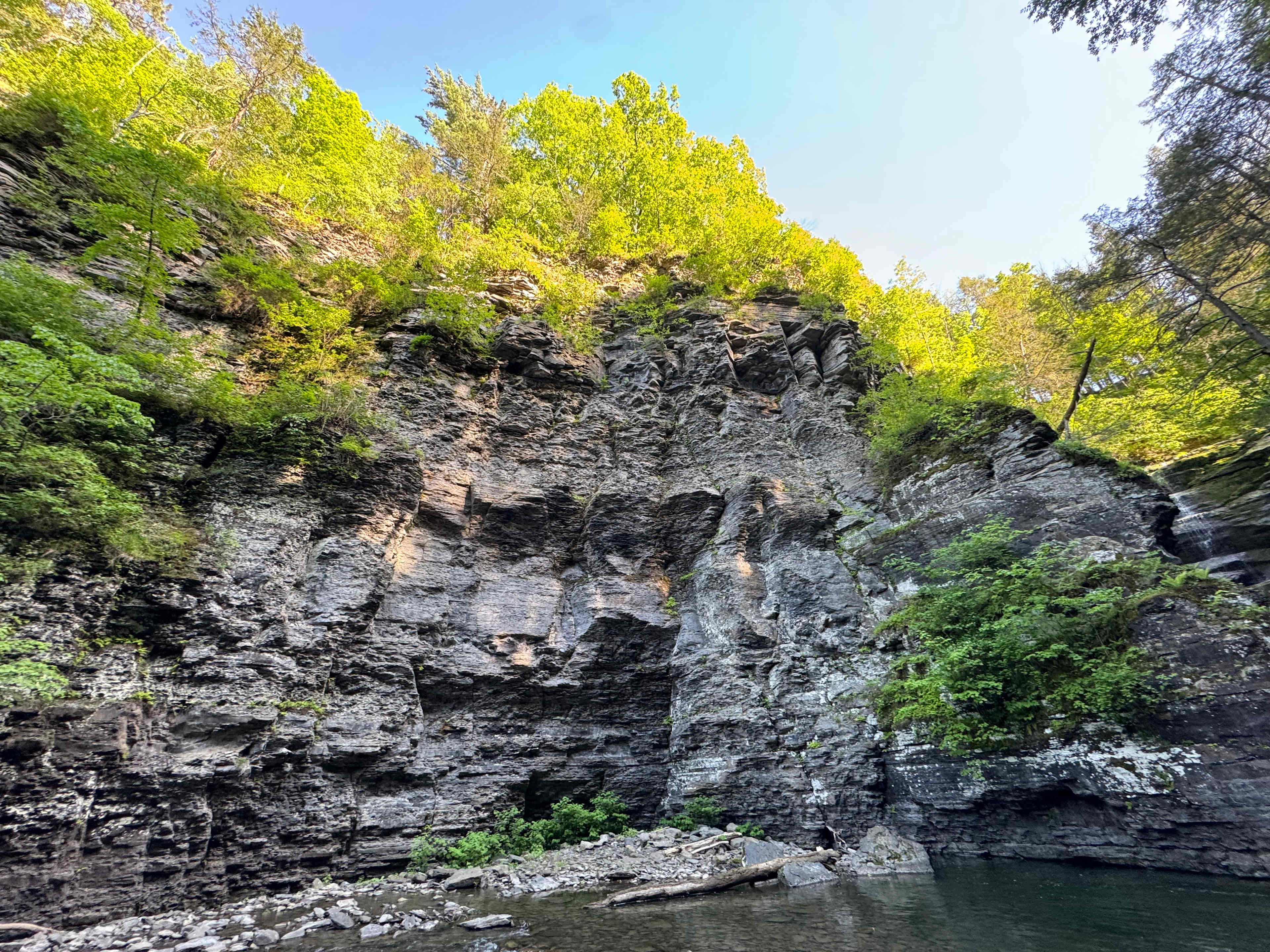Waterfall Ravine