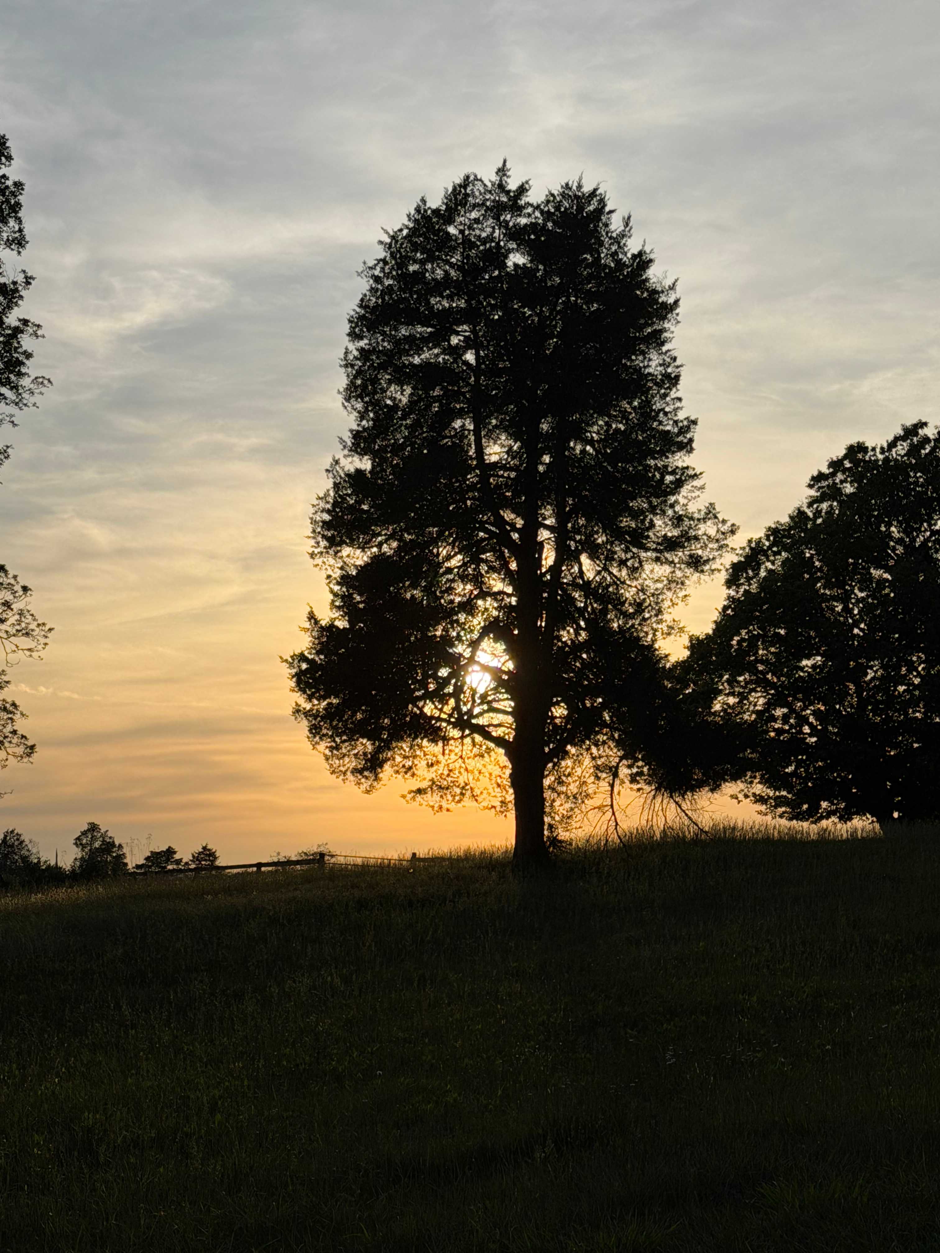 Private Farm Minutes to Cville