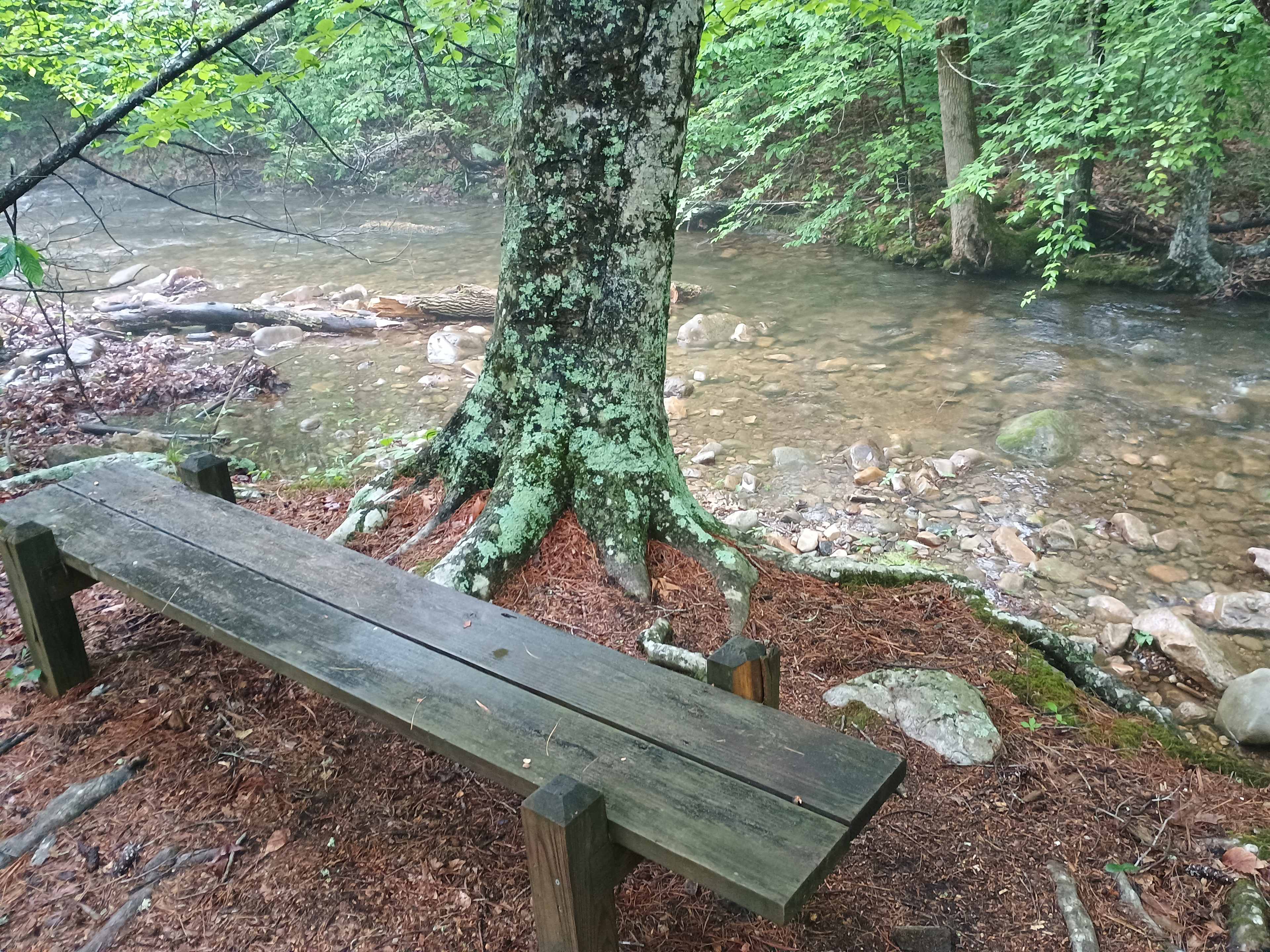 Really cool Creek near the campsites