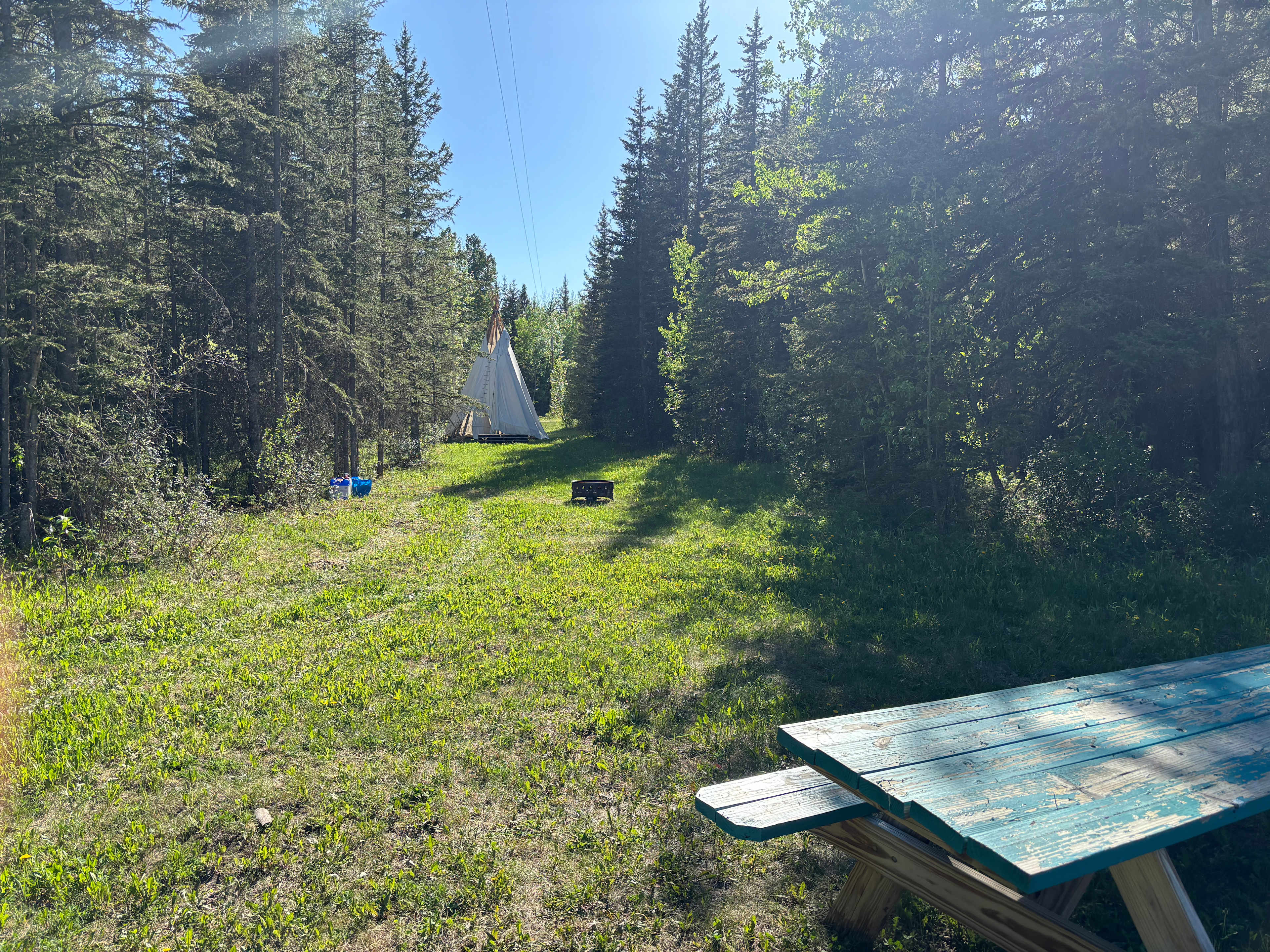 Picture of the site