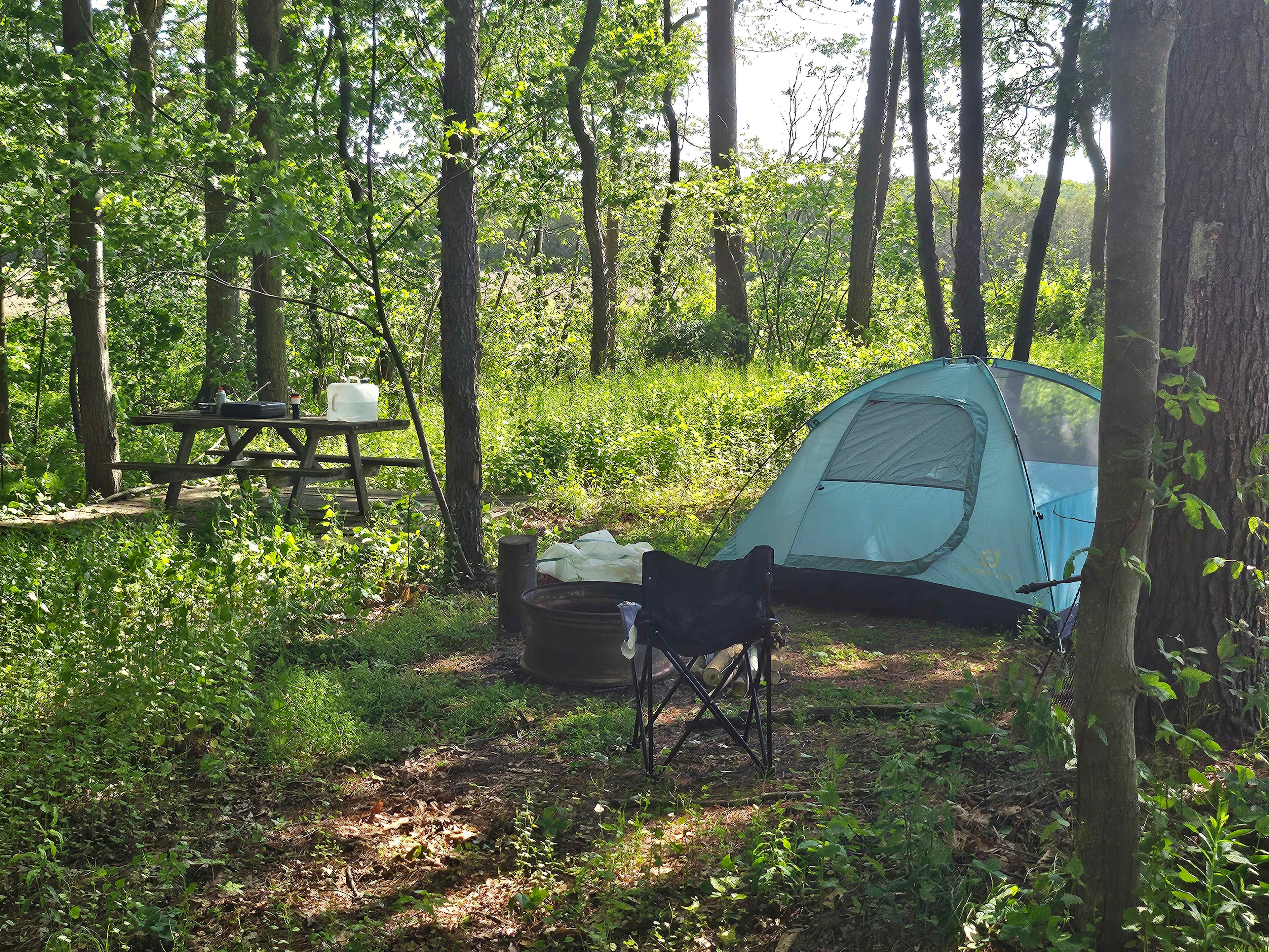 Spring Arbour Magic Forest &Trails!