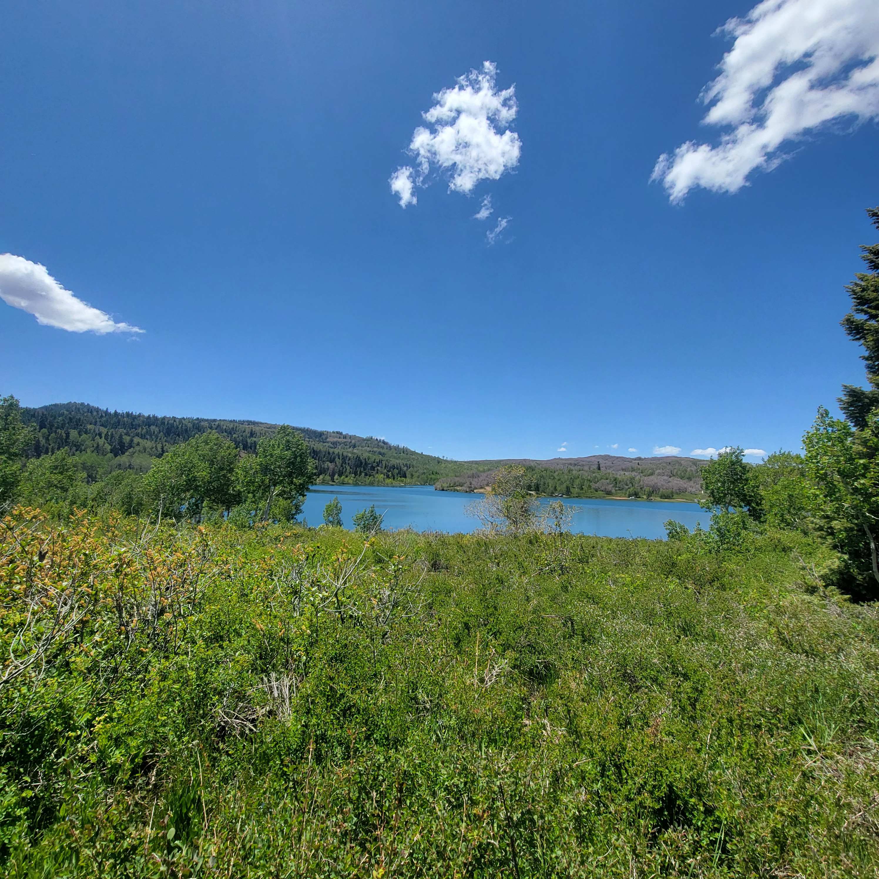 Kolob Campground