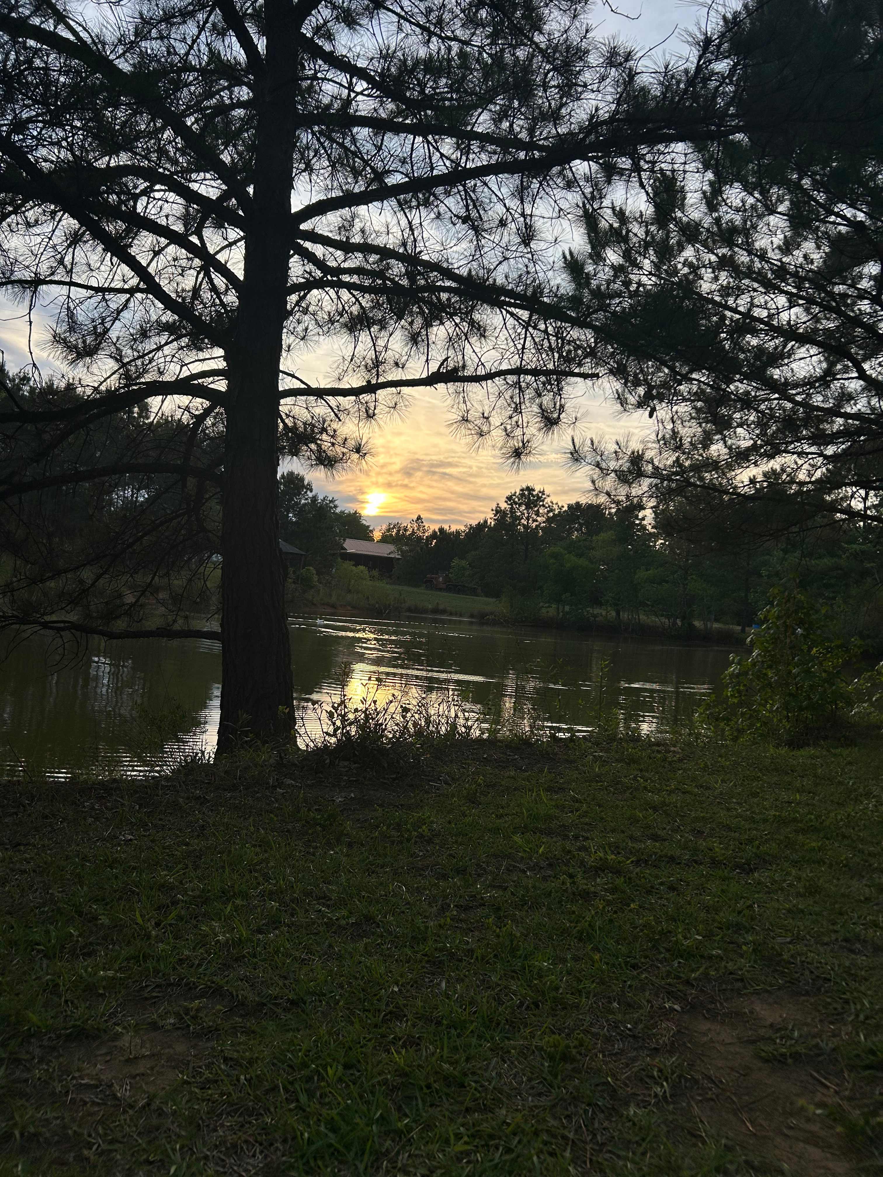 Twin Pines Farms LLC