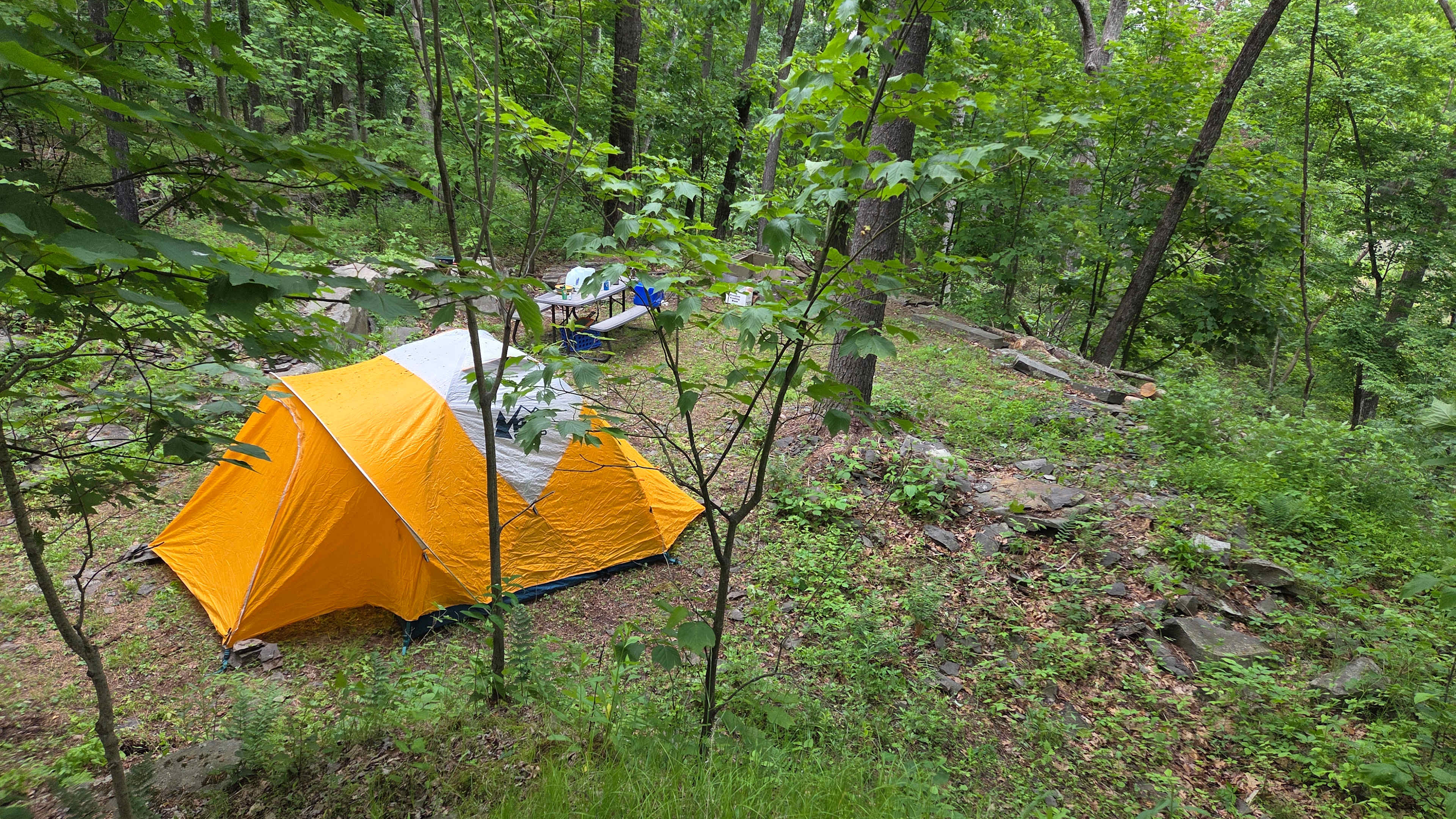 Picture of the site