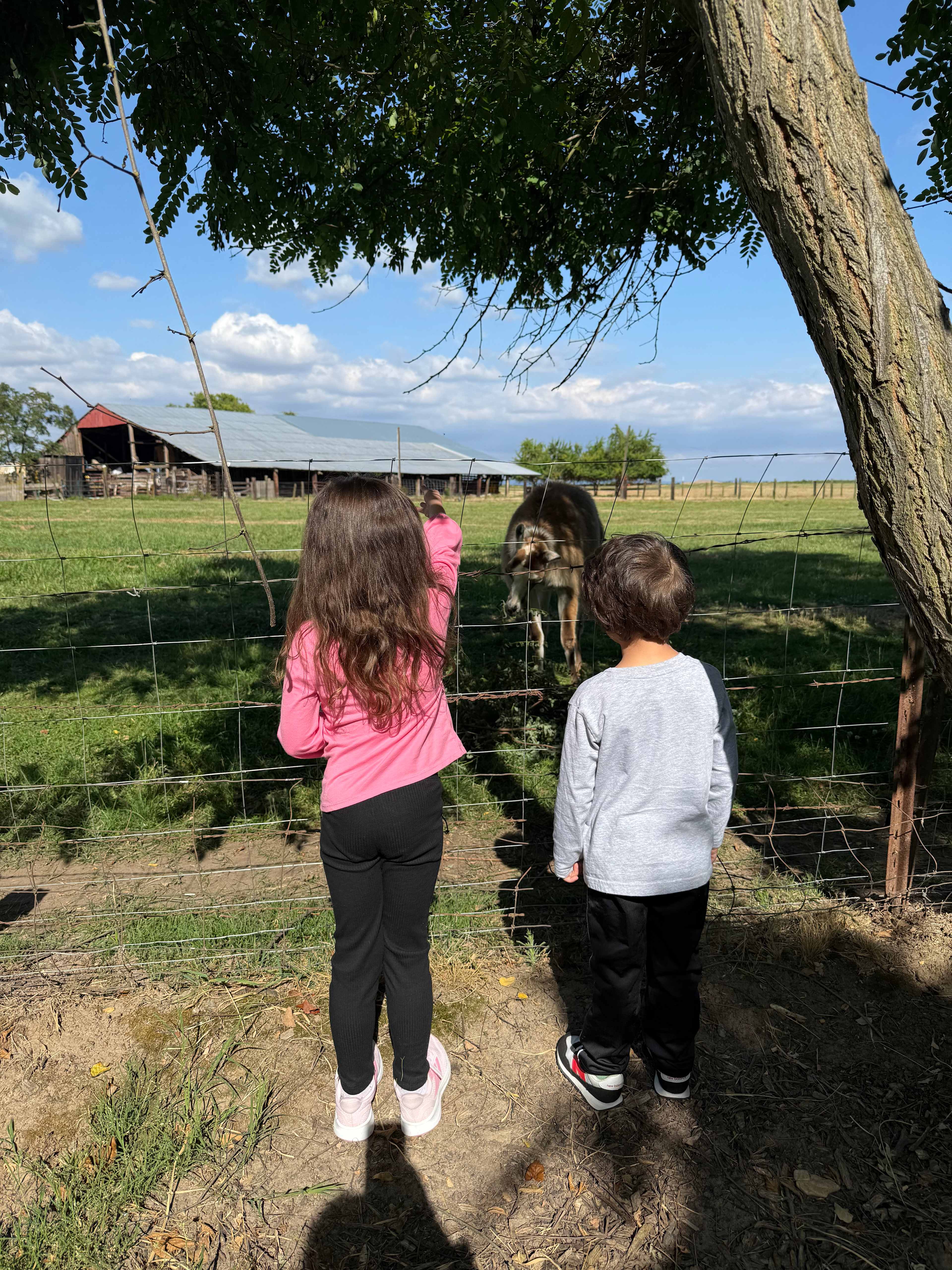 Walden Ranch