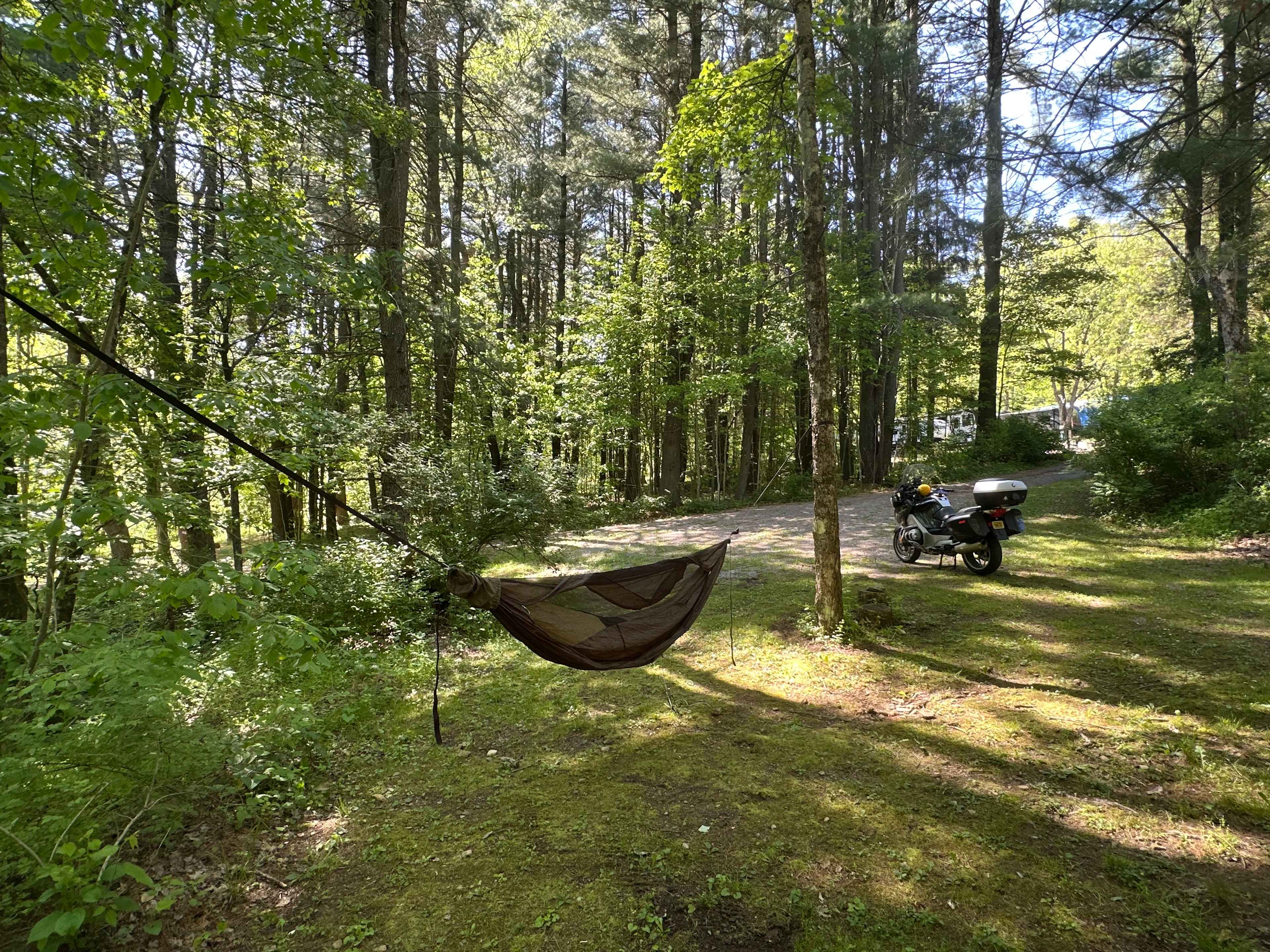 Hammock trees not over the pad, but worked fine