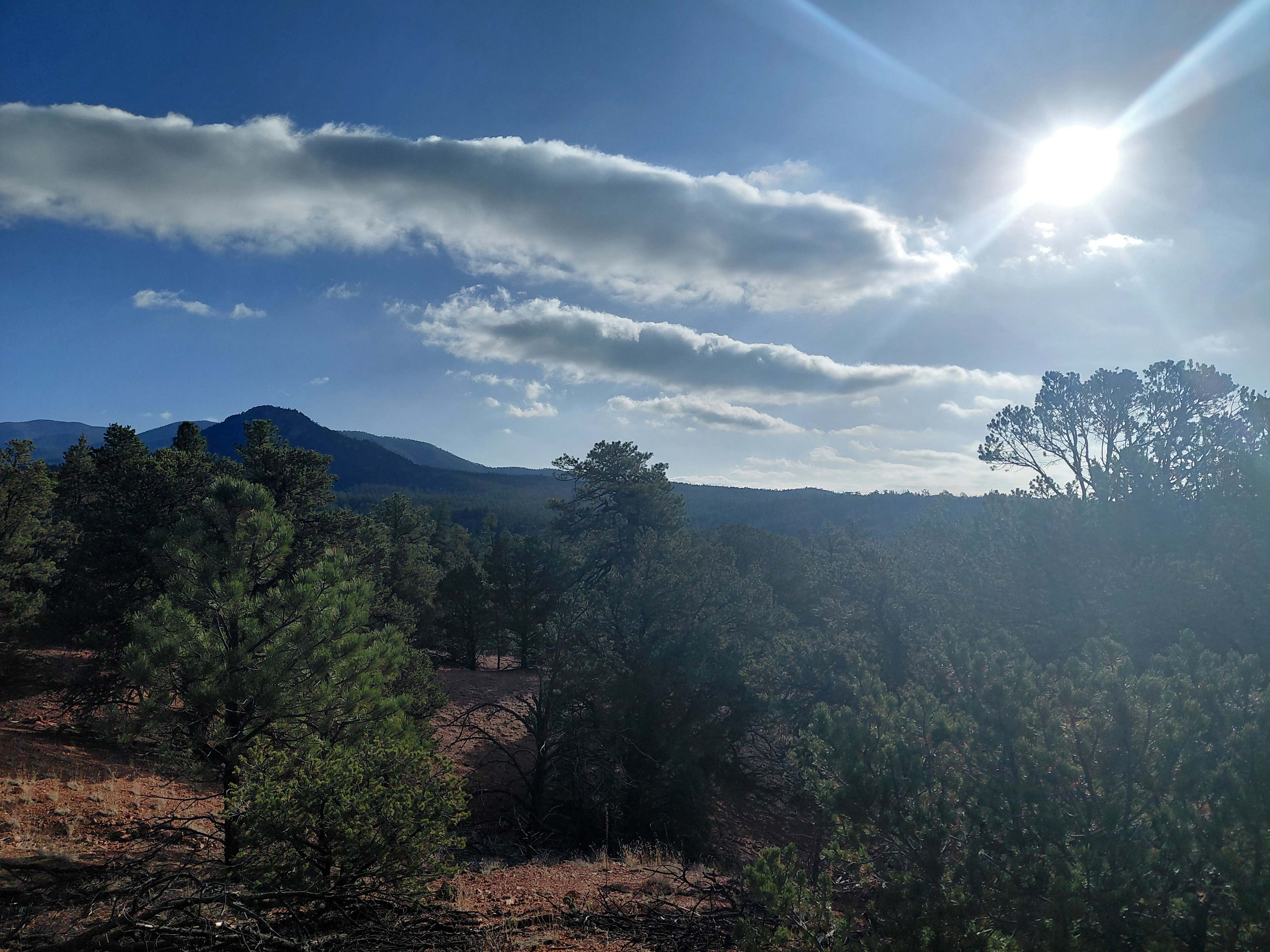 Santa Fe Treehouse Camp & Wilderness Preserve