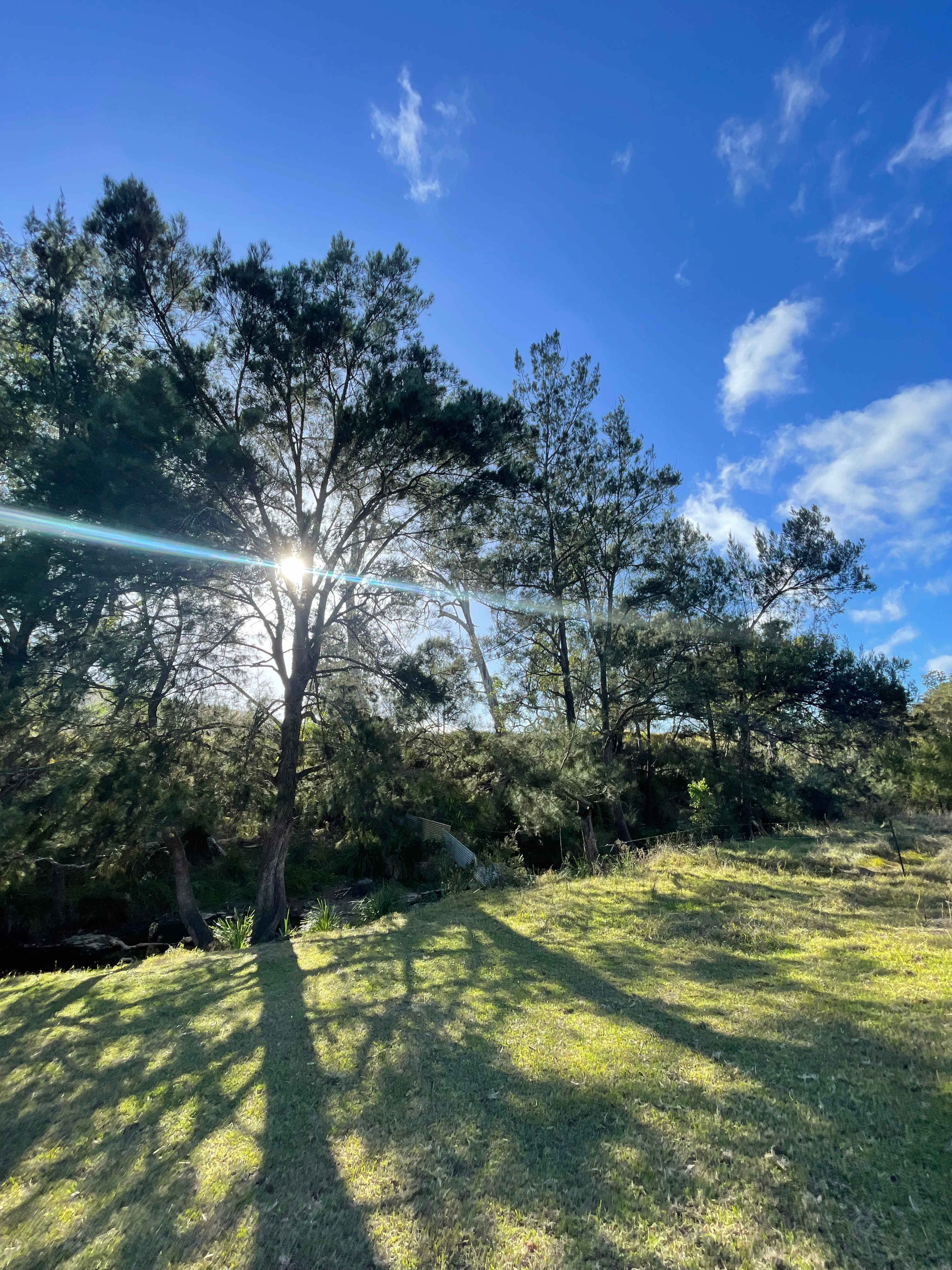 Millar Vale Creek Camping Innisfree