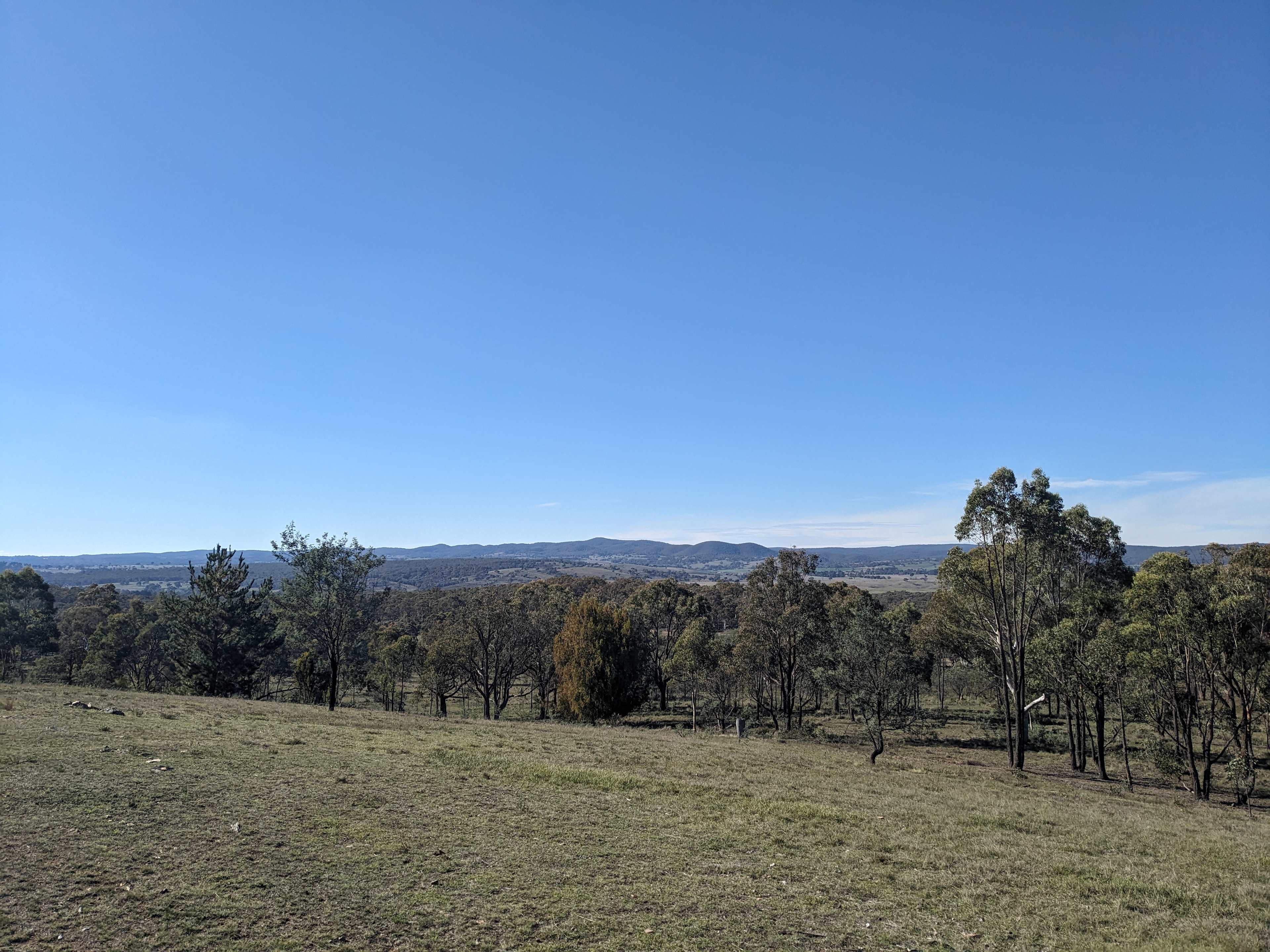 The view 