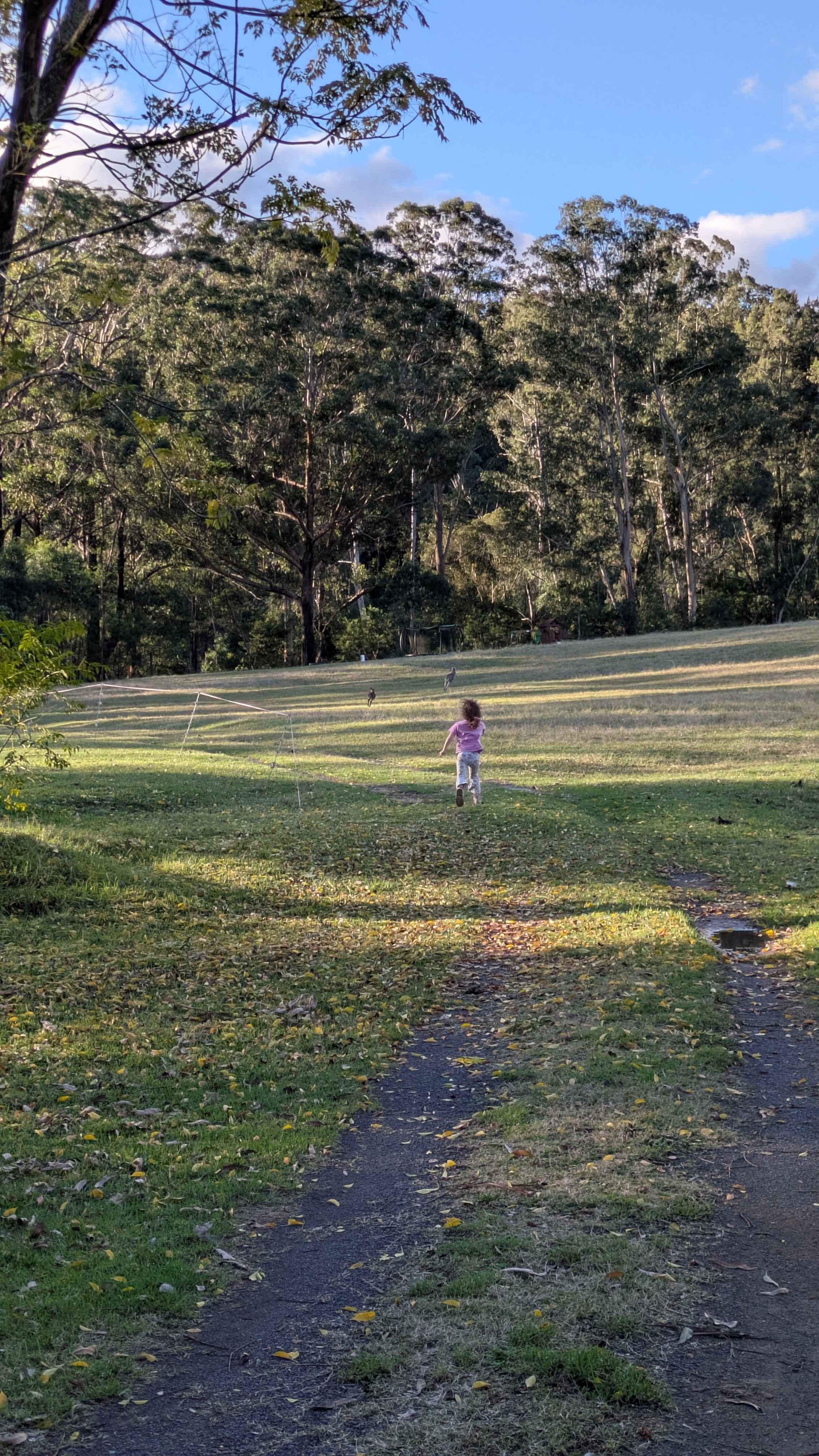 Wombat Hollow
