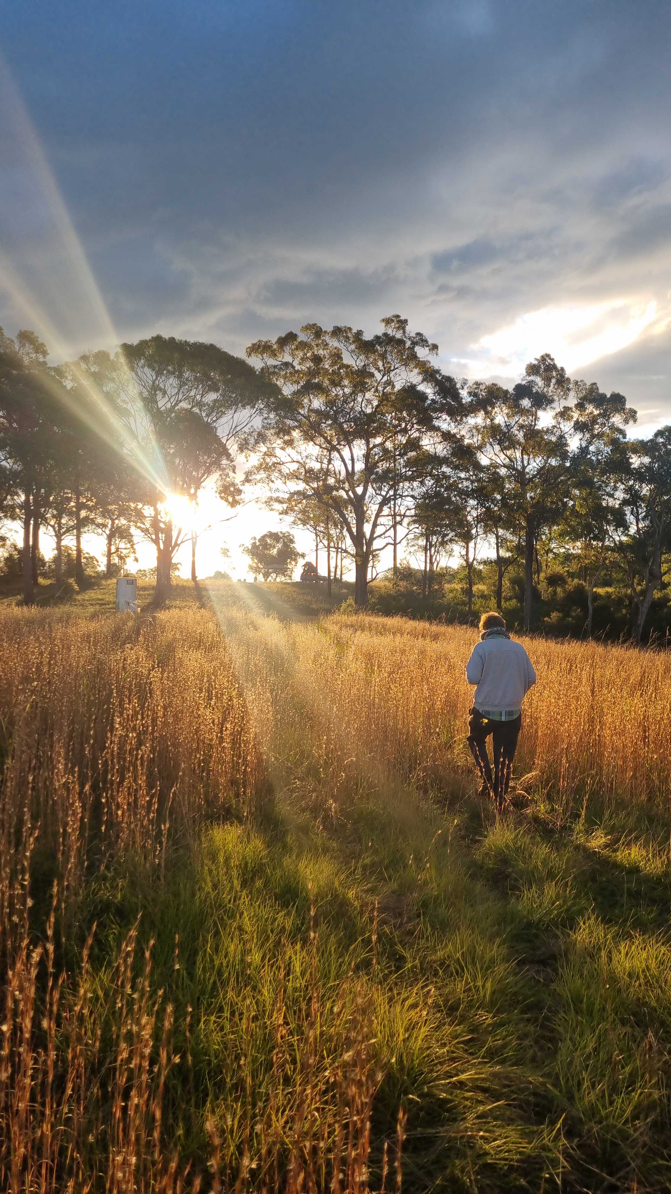 Canoelands Valley Camping