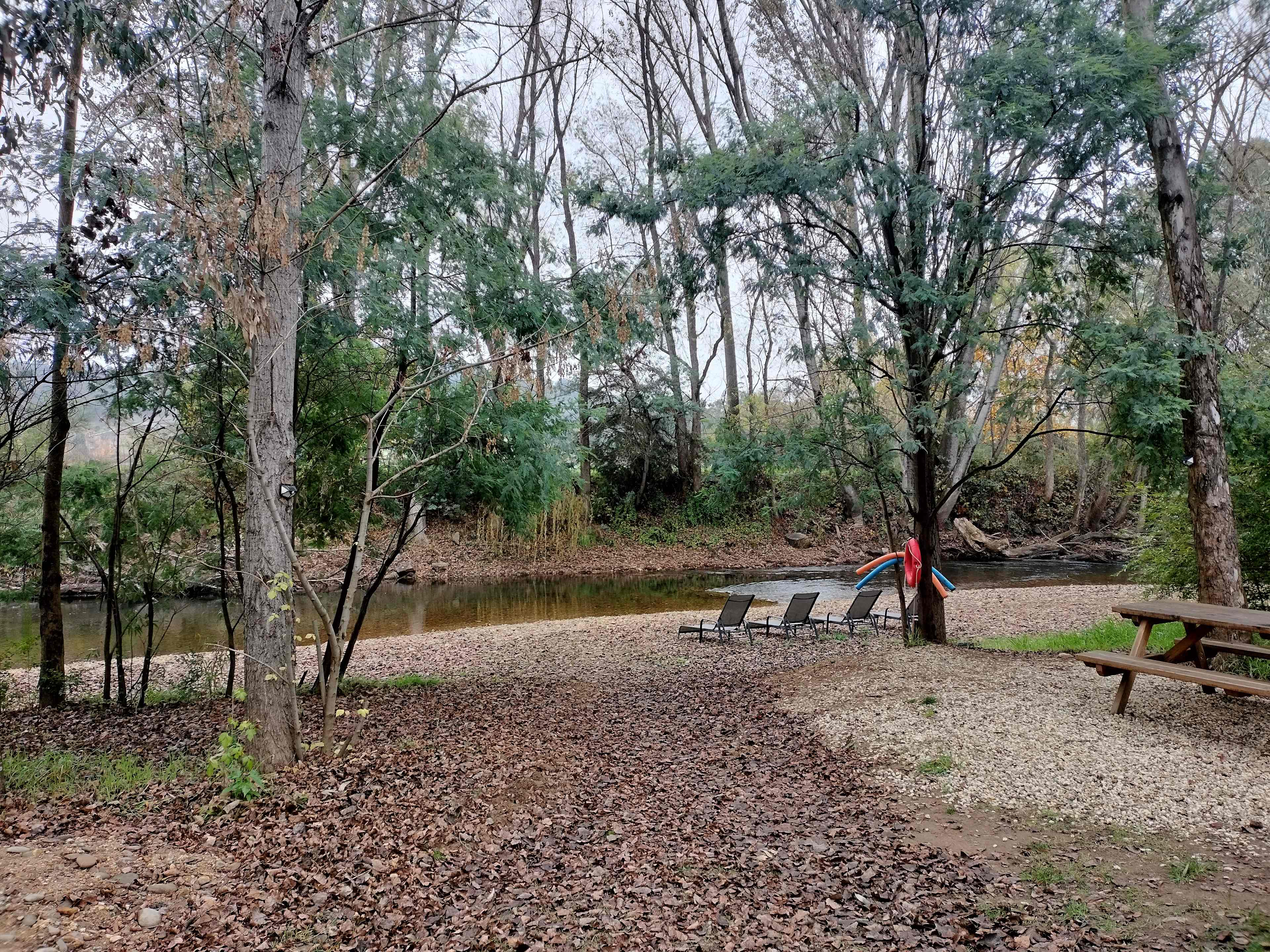 Myrtle Beech Retreat