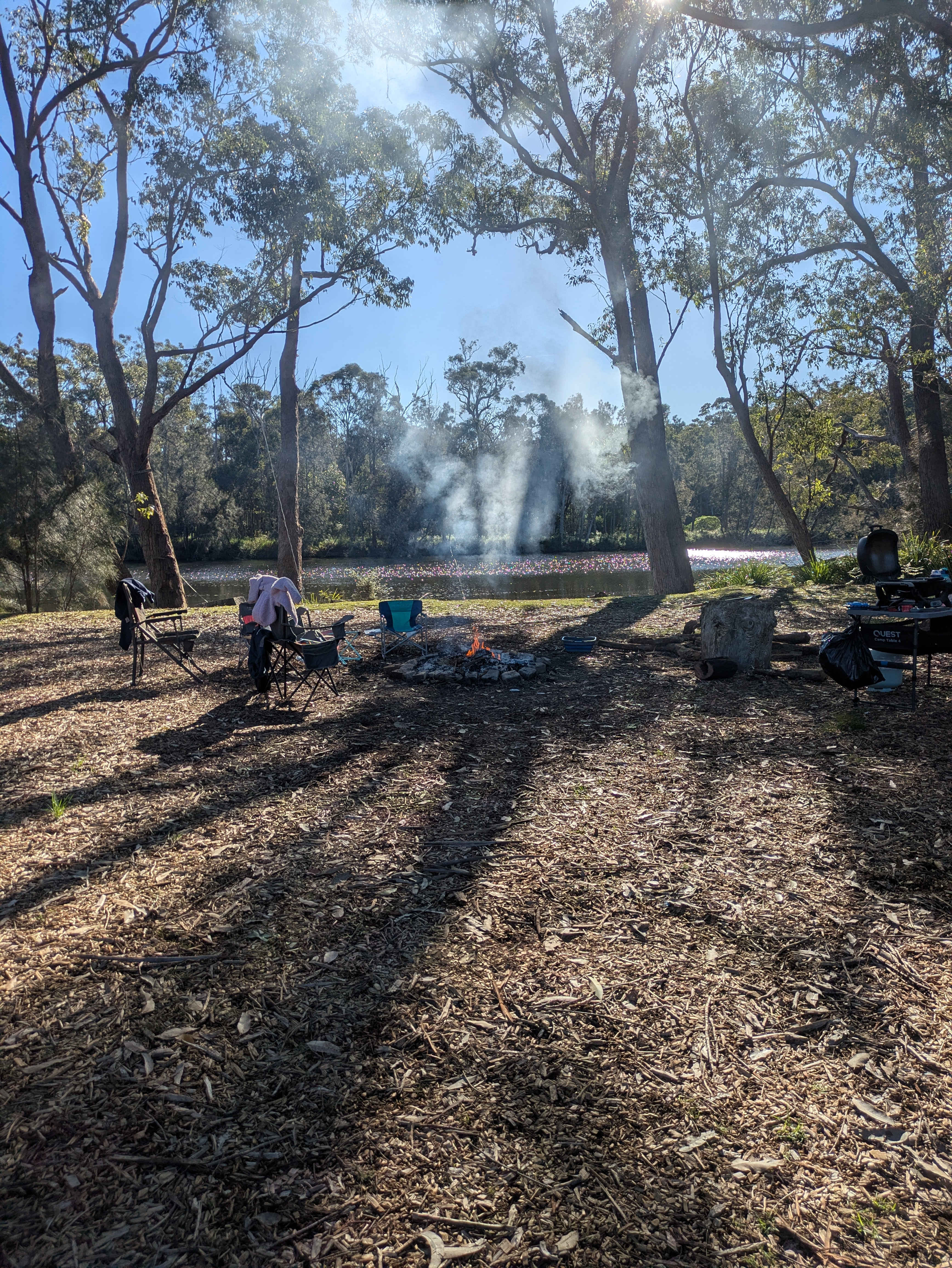 Site 4