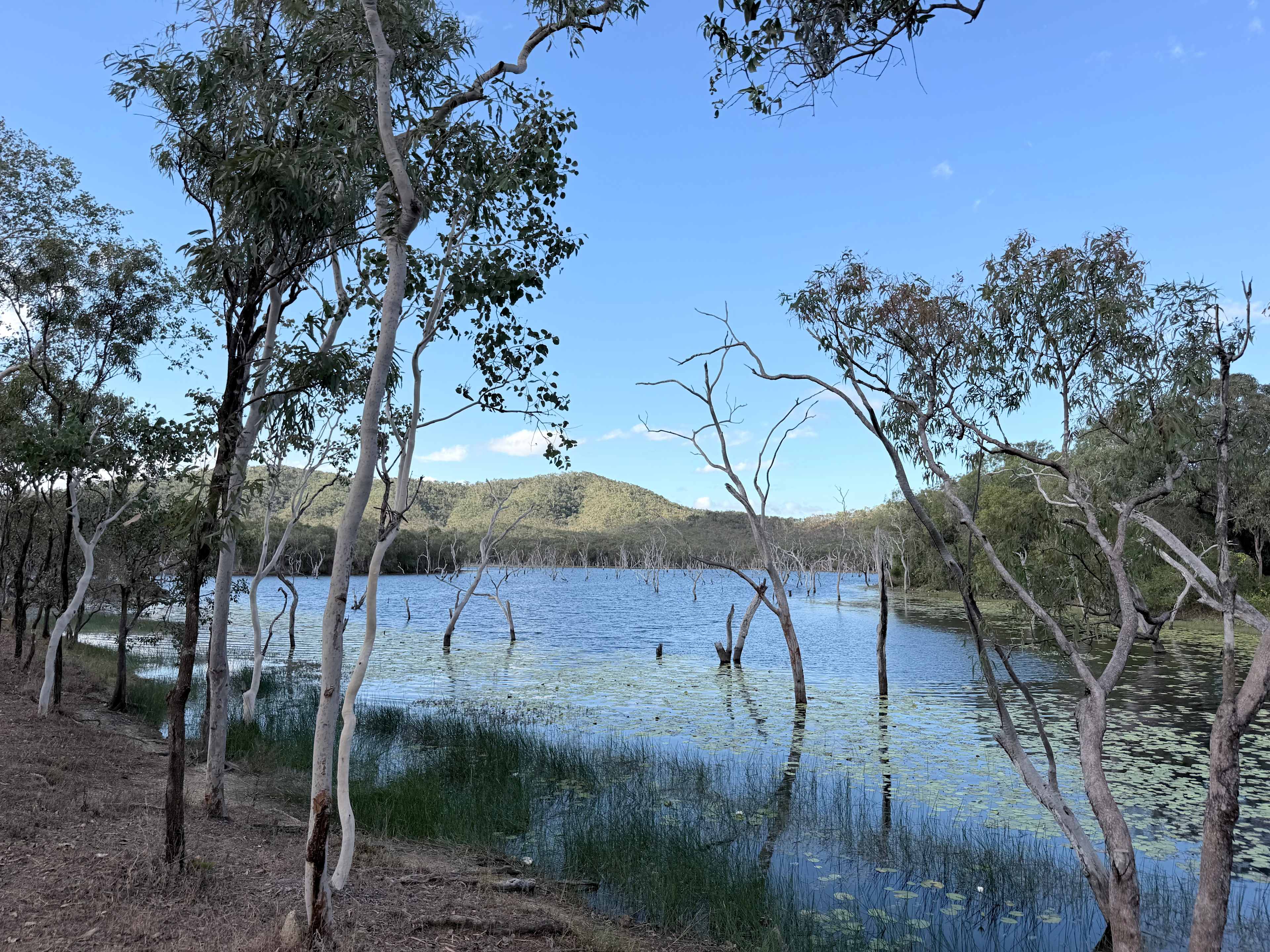 Lakeland Downs Camping
