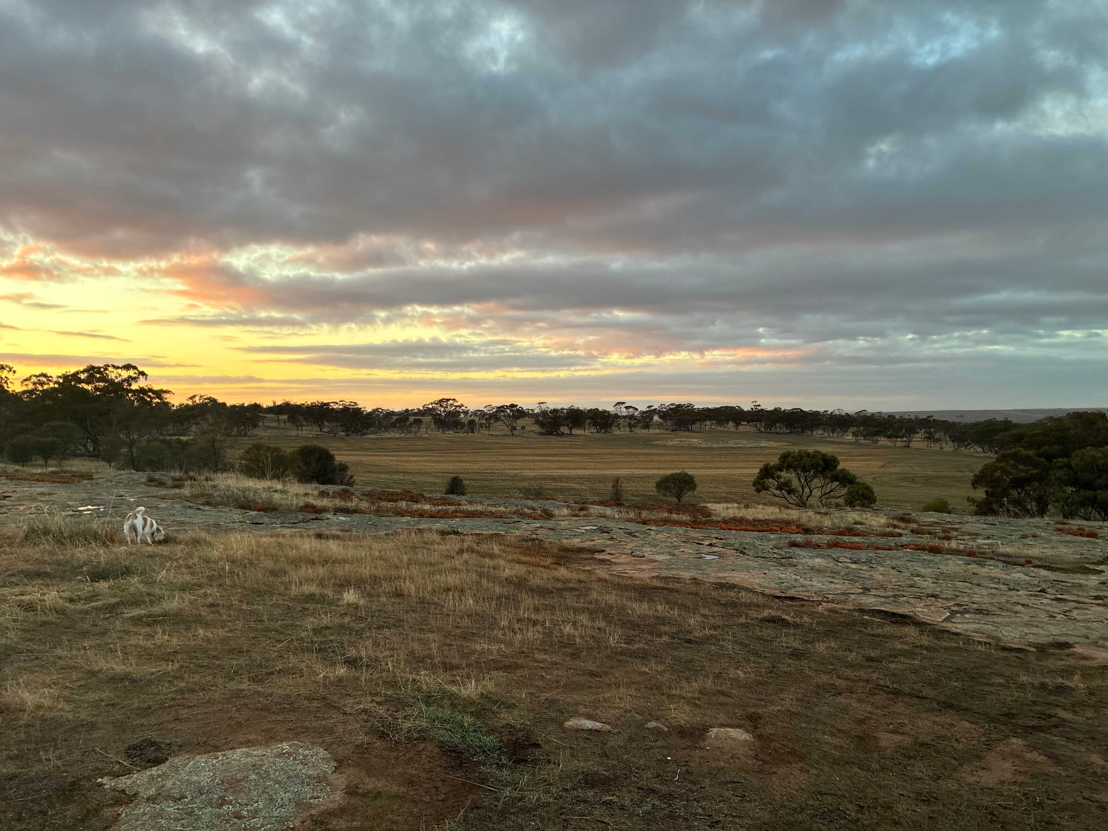 Qualin Farm bush camp