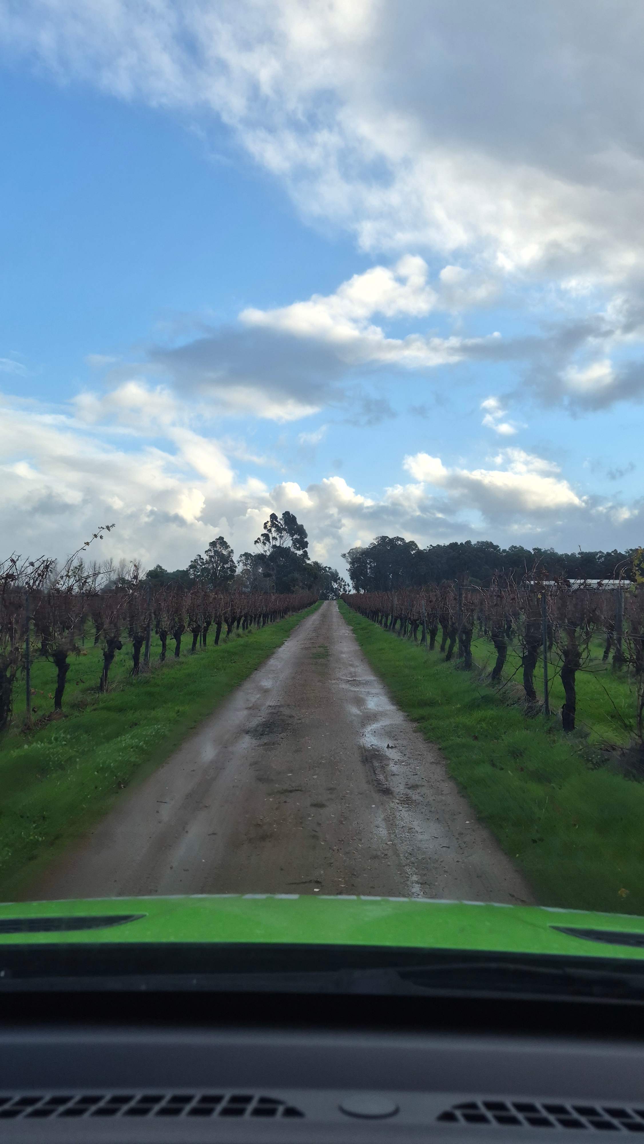 Jarvis Estate Winery & Camping