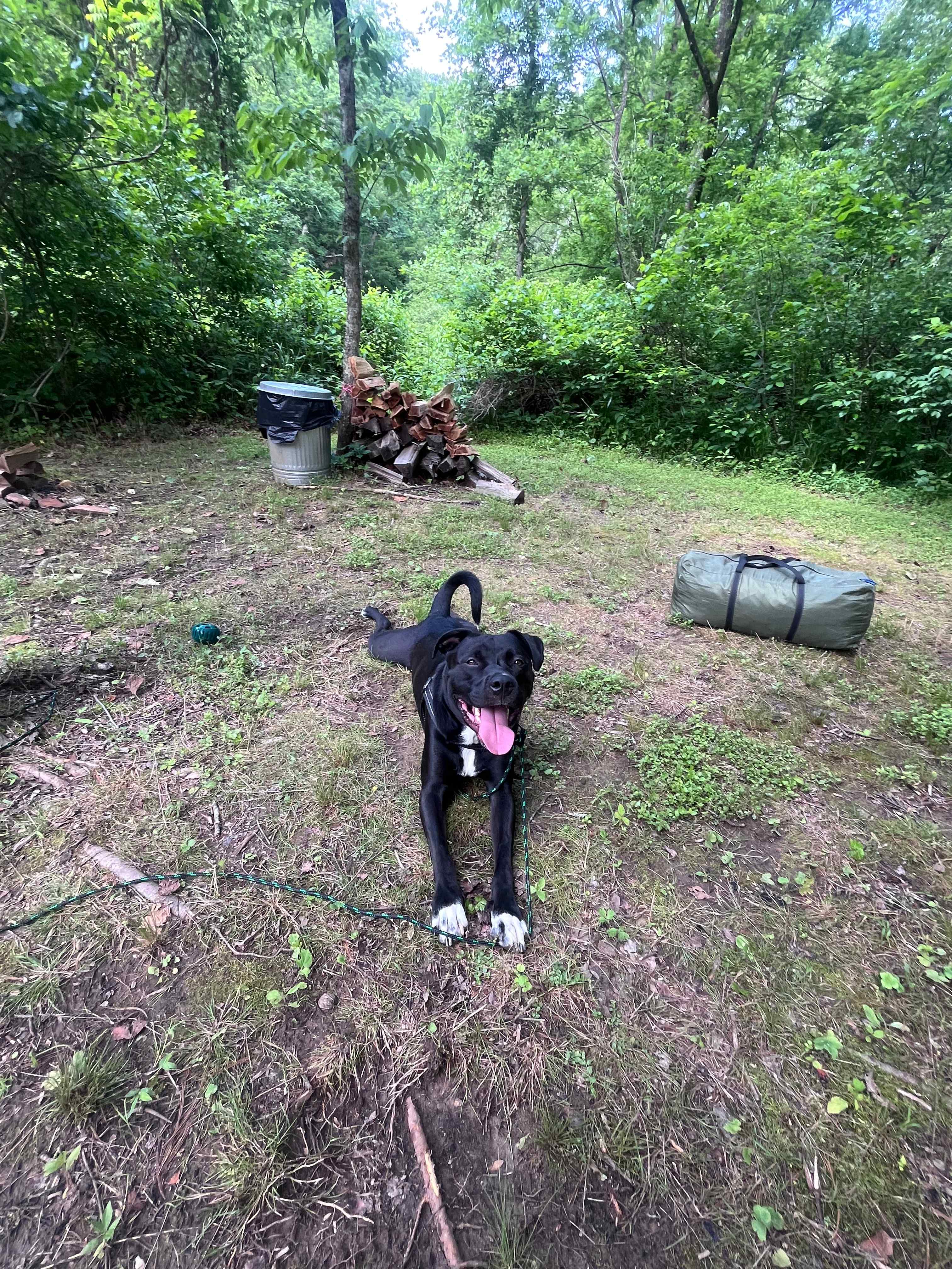 Picture of the site