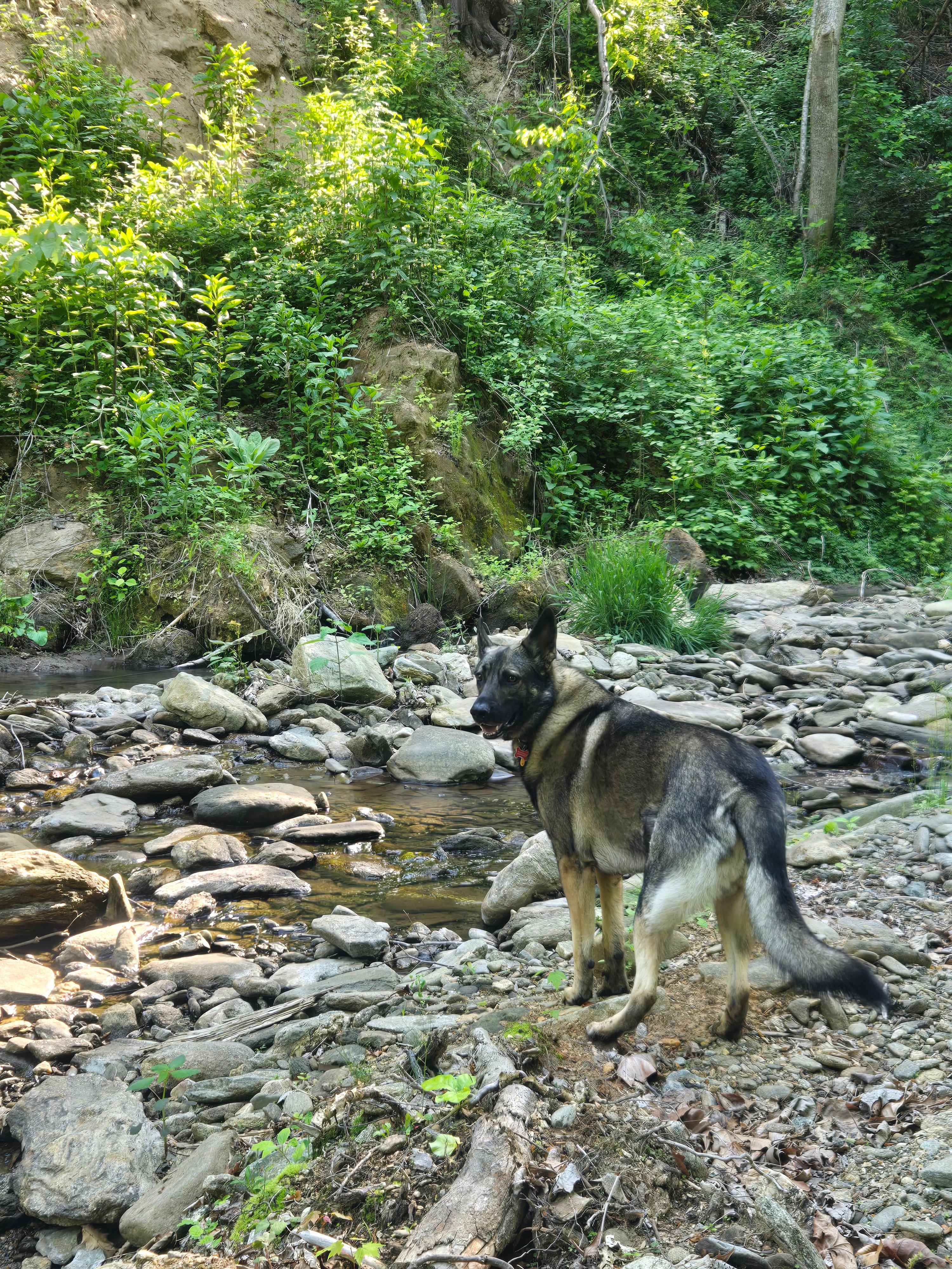 Reems Creek Retreat