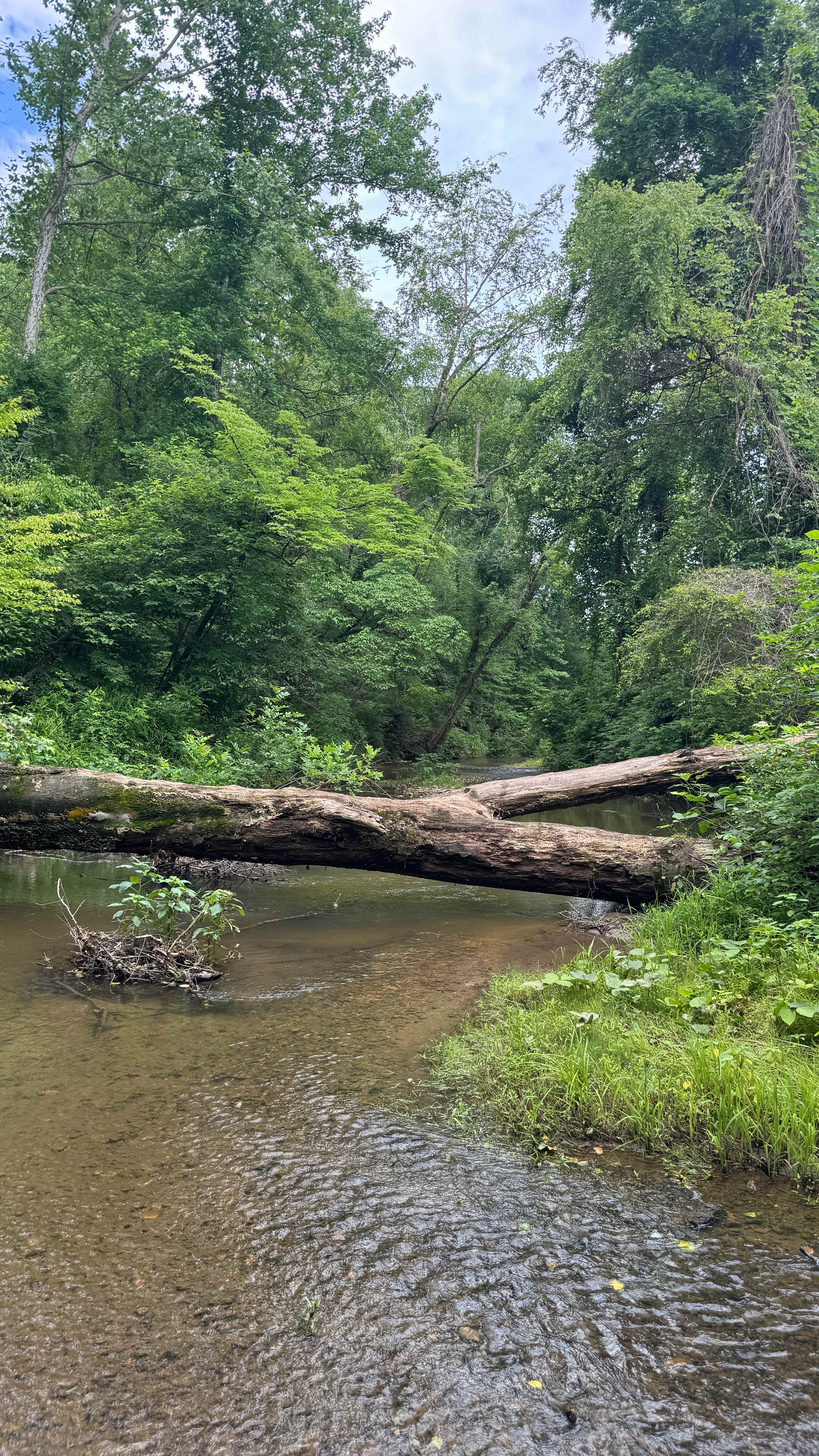 Broken Oak Riverside Getaway