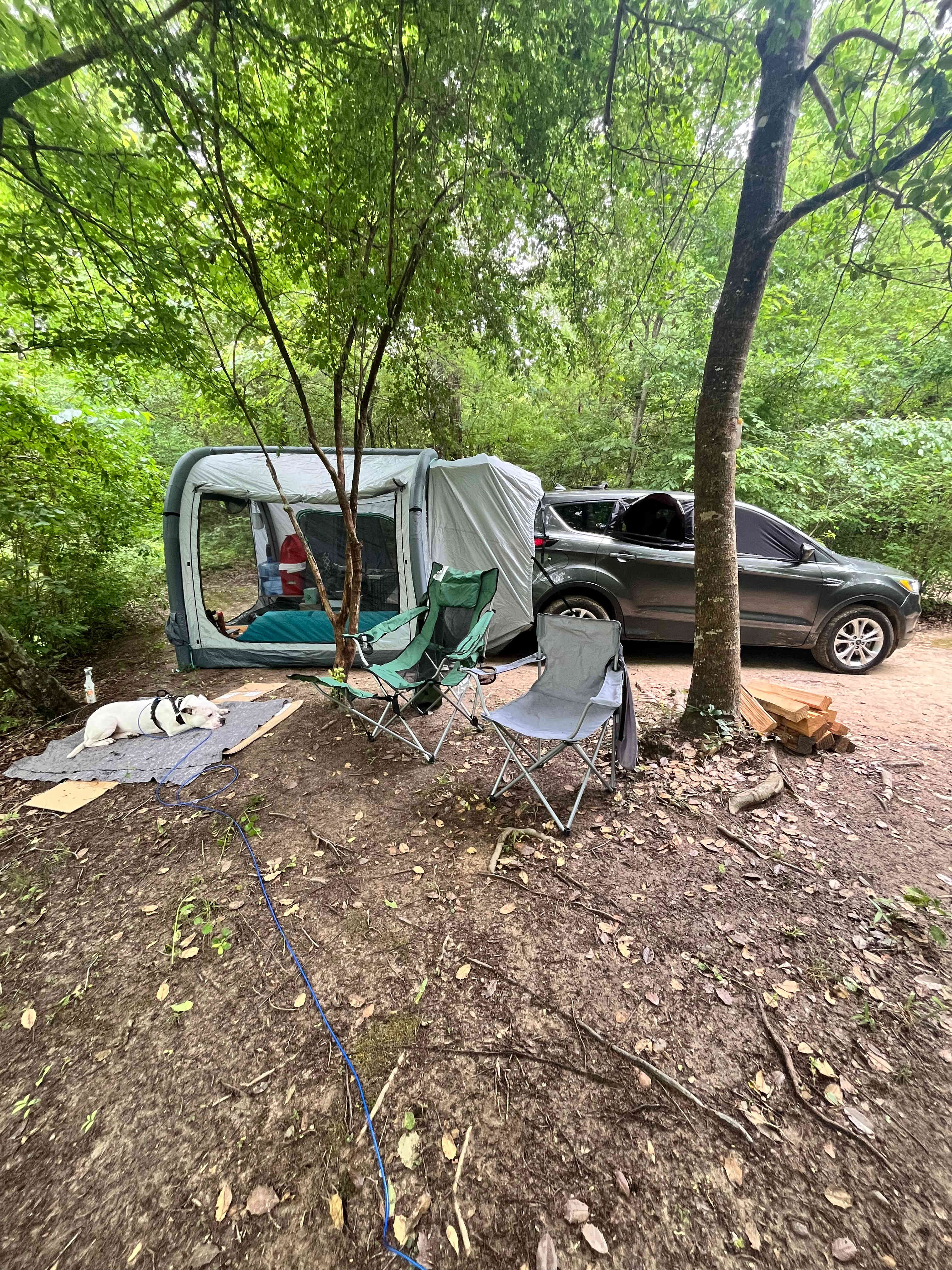 Tar River Life
