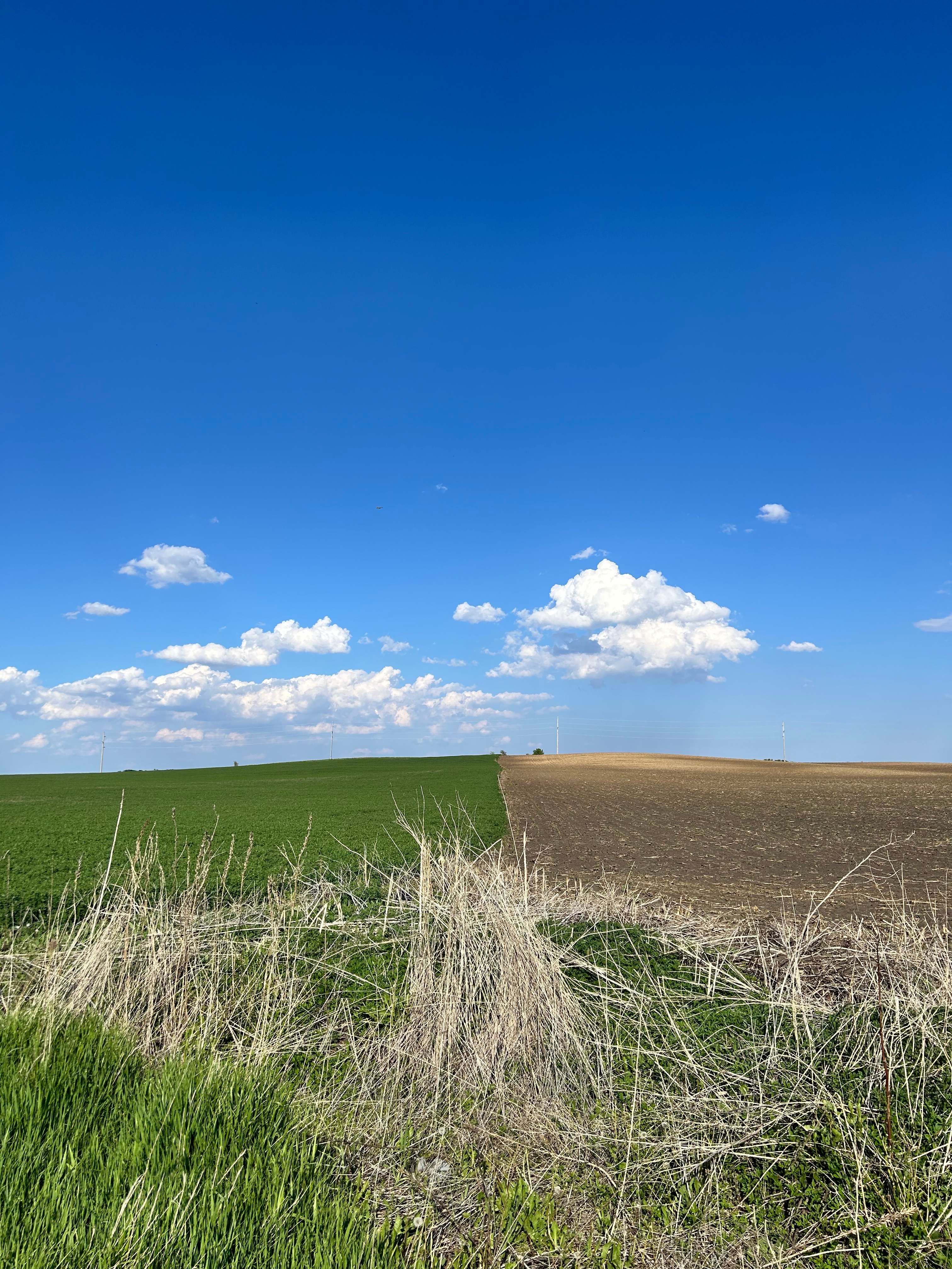 Uncle B's Produce Farm
