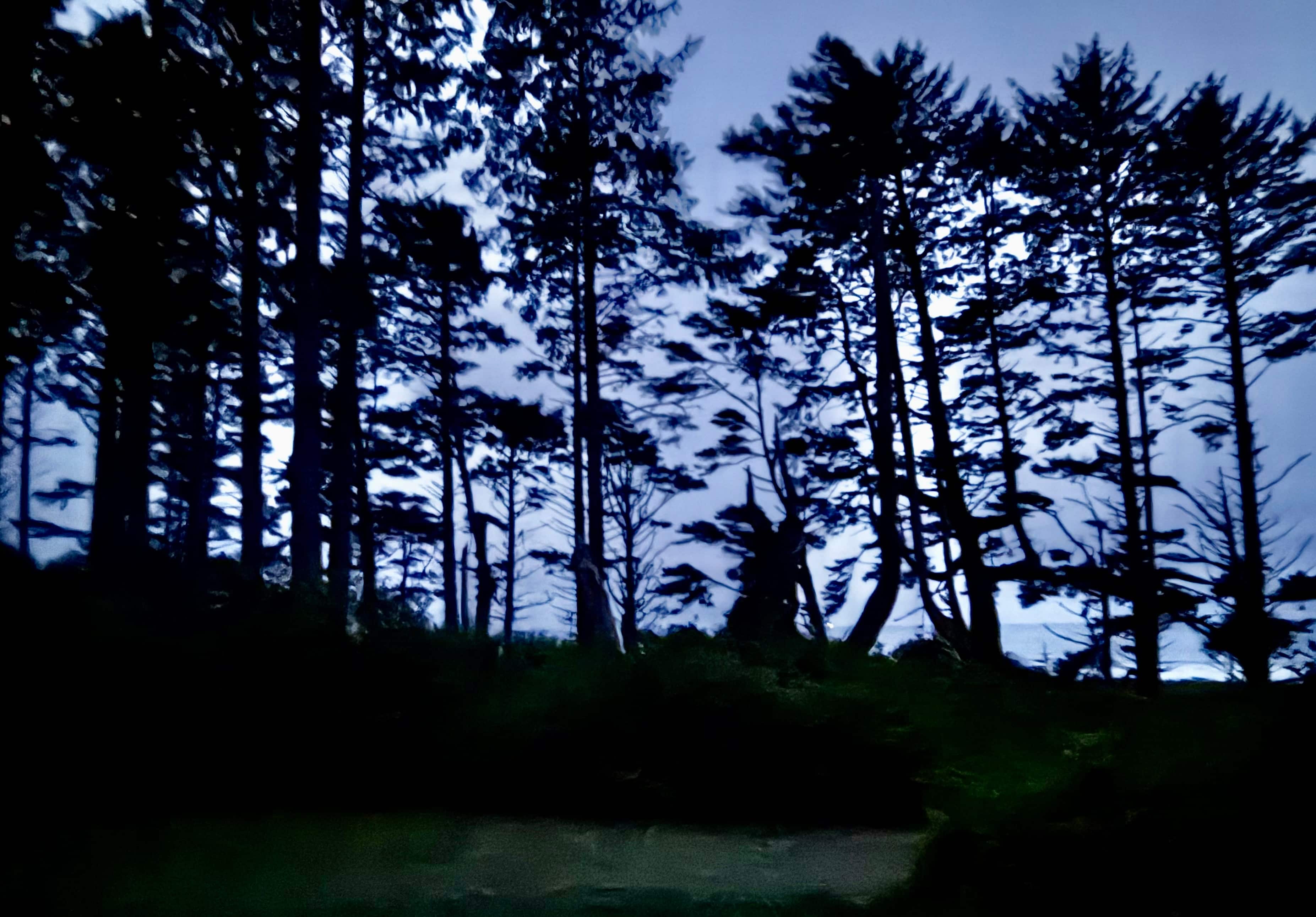Moonlight from the site