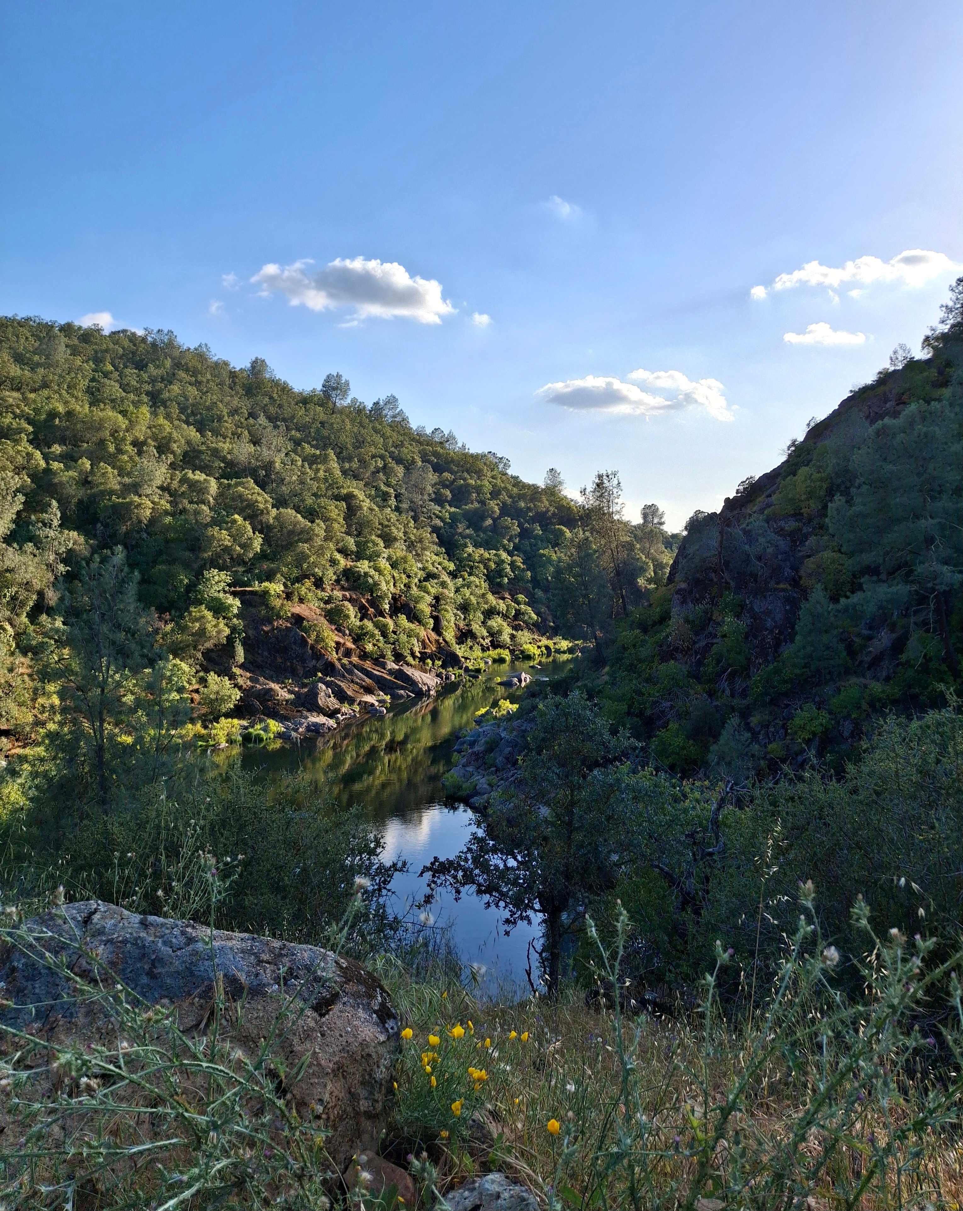 Cosumnes River Ranch