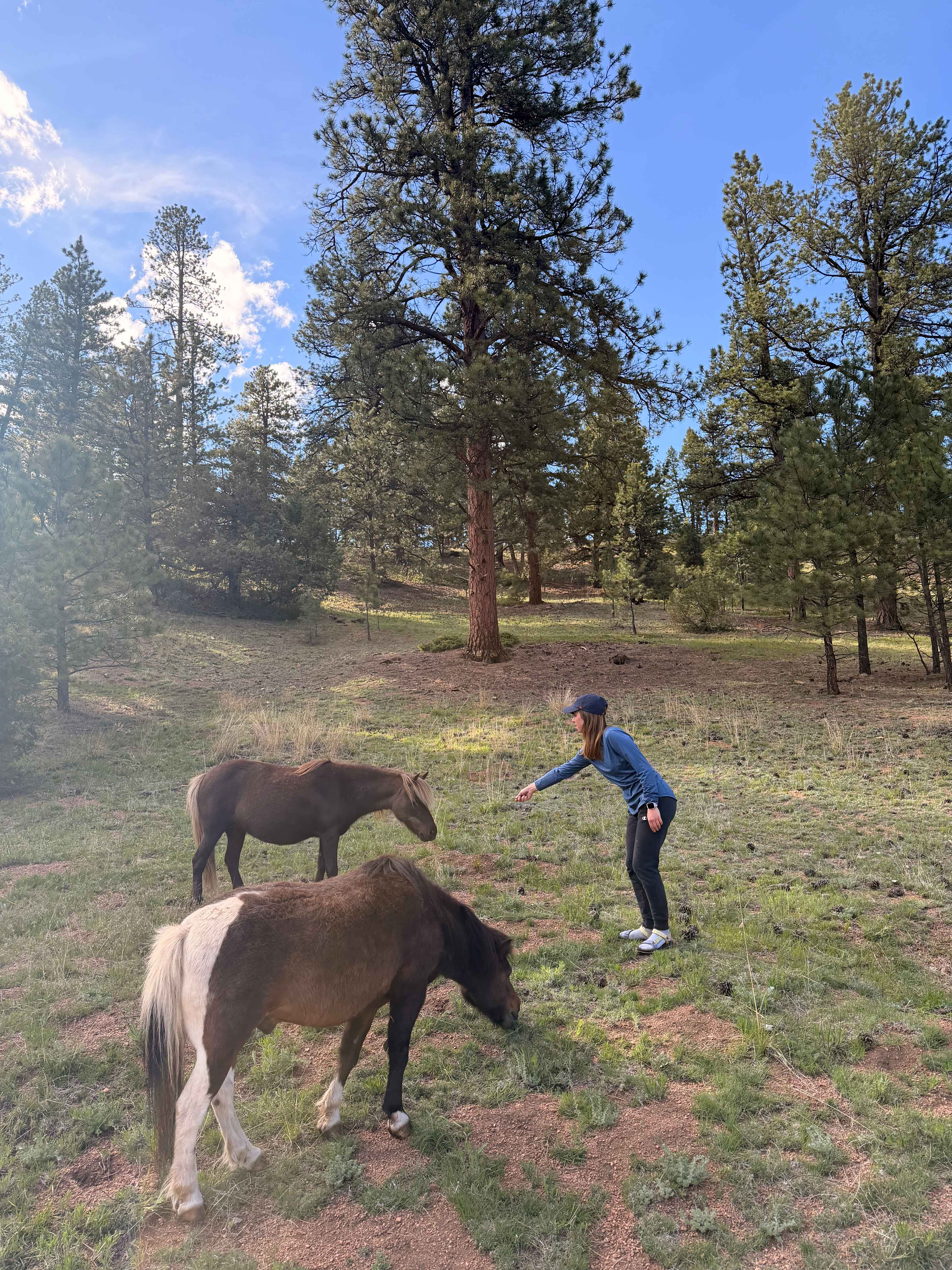 Rustic Creek Ranch