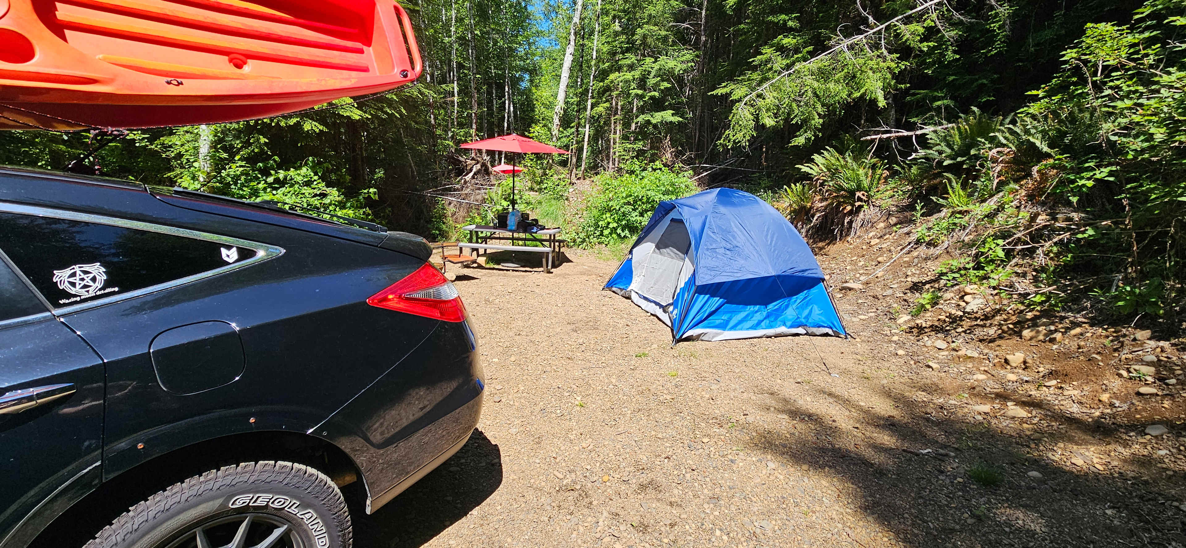 Picture of the site