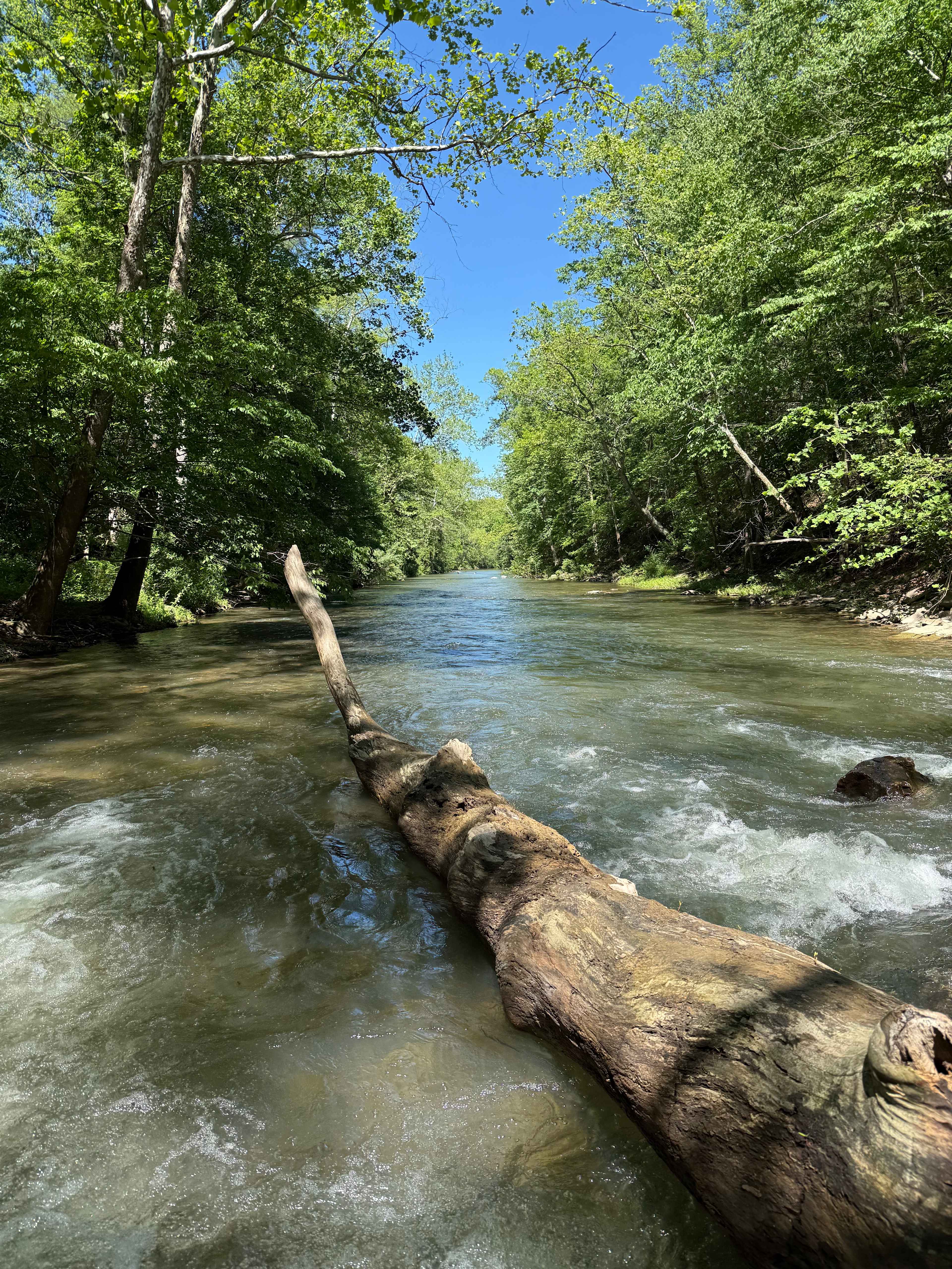 Camp Cedar Creek