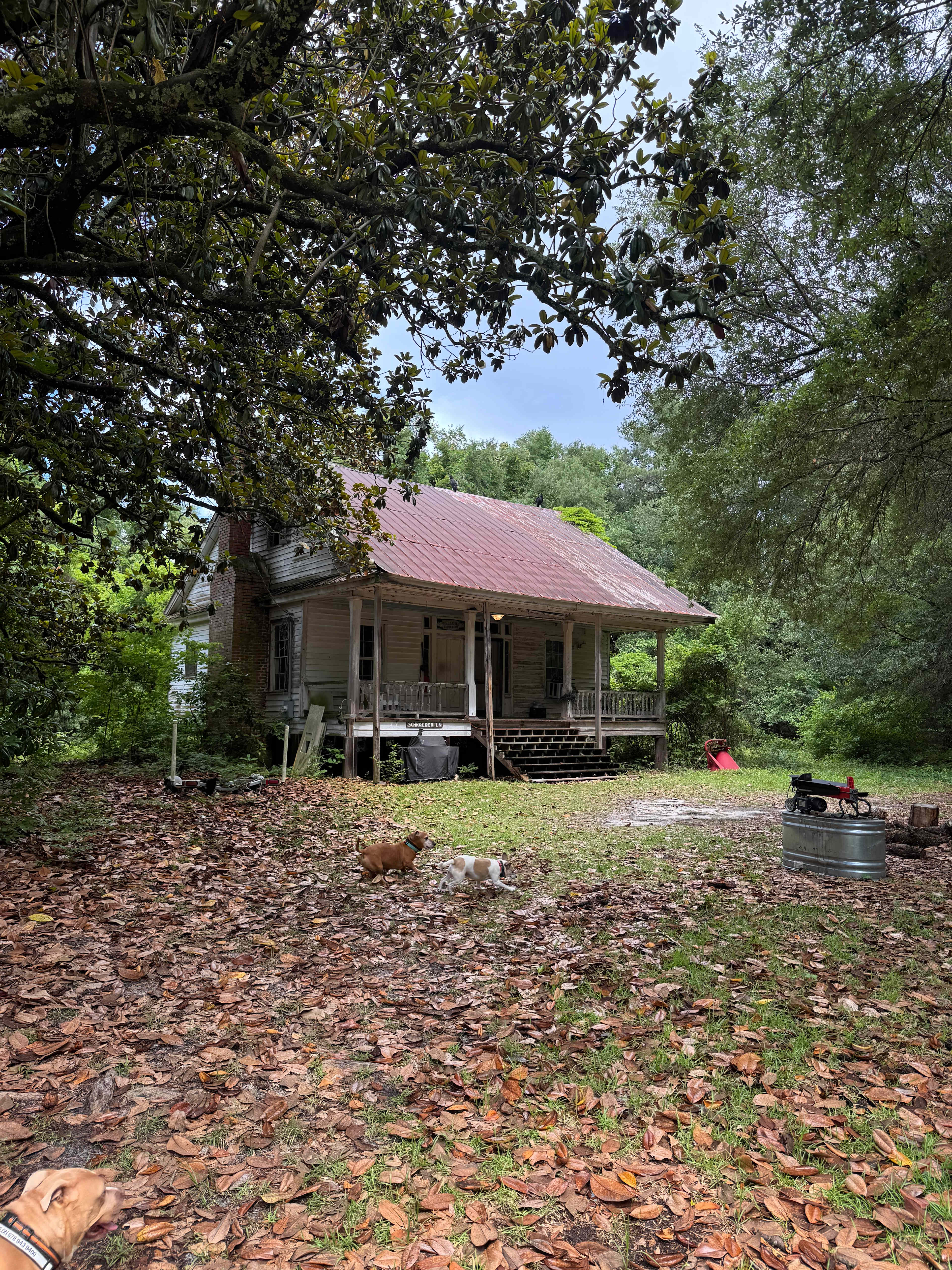 Too Many Oaks Plantation