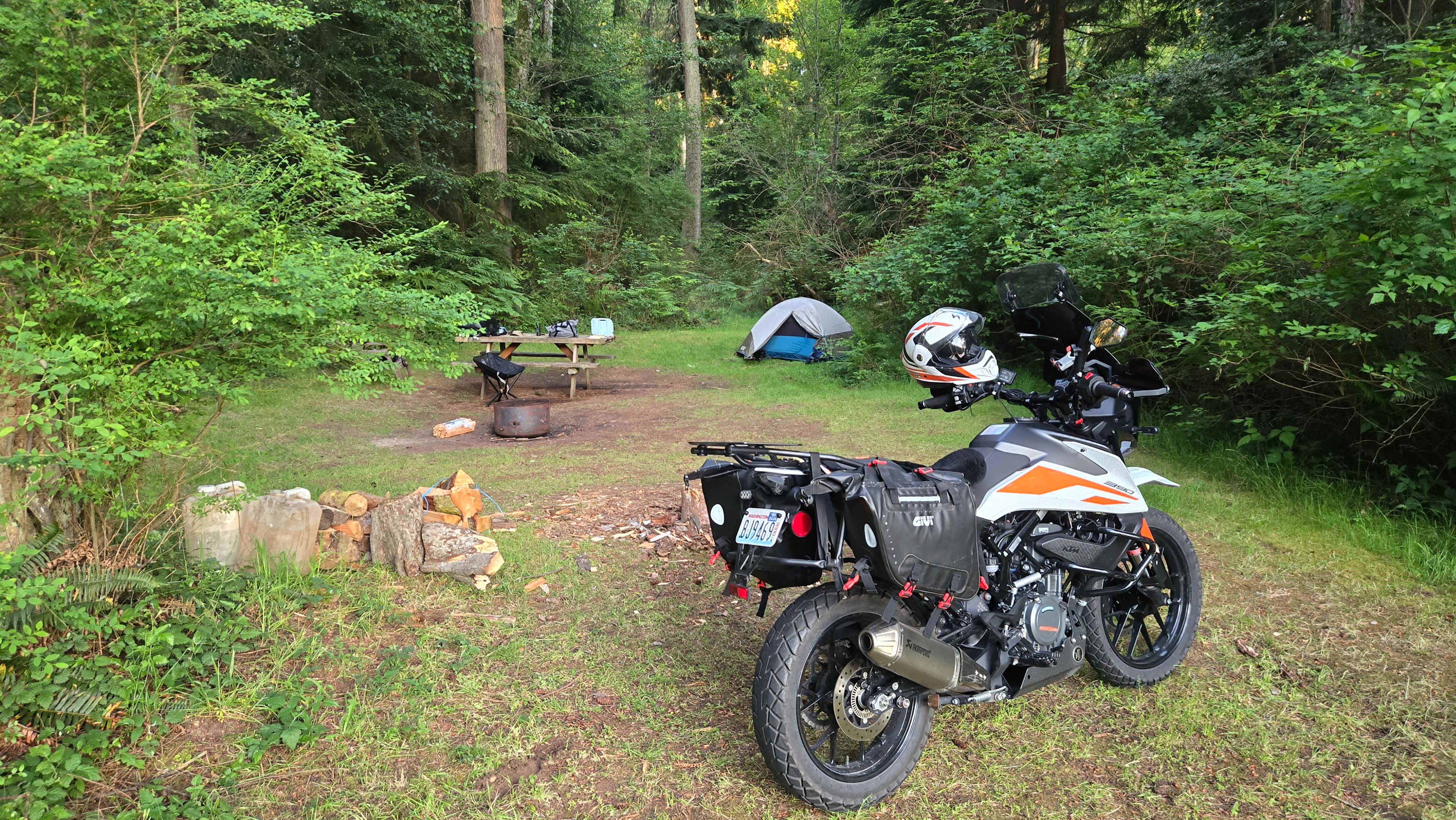 Fern Gully Camp