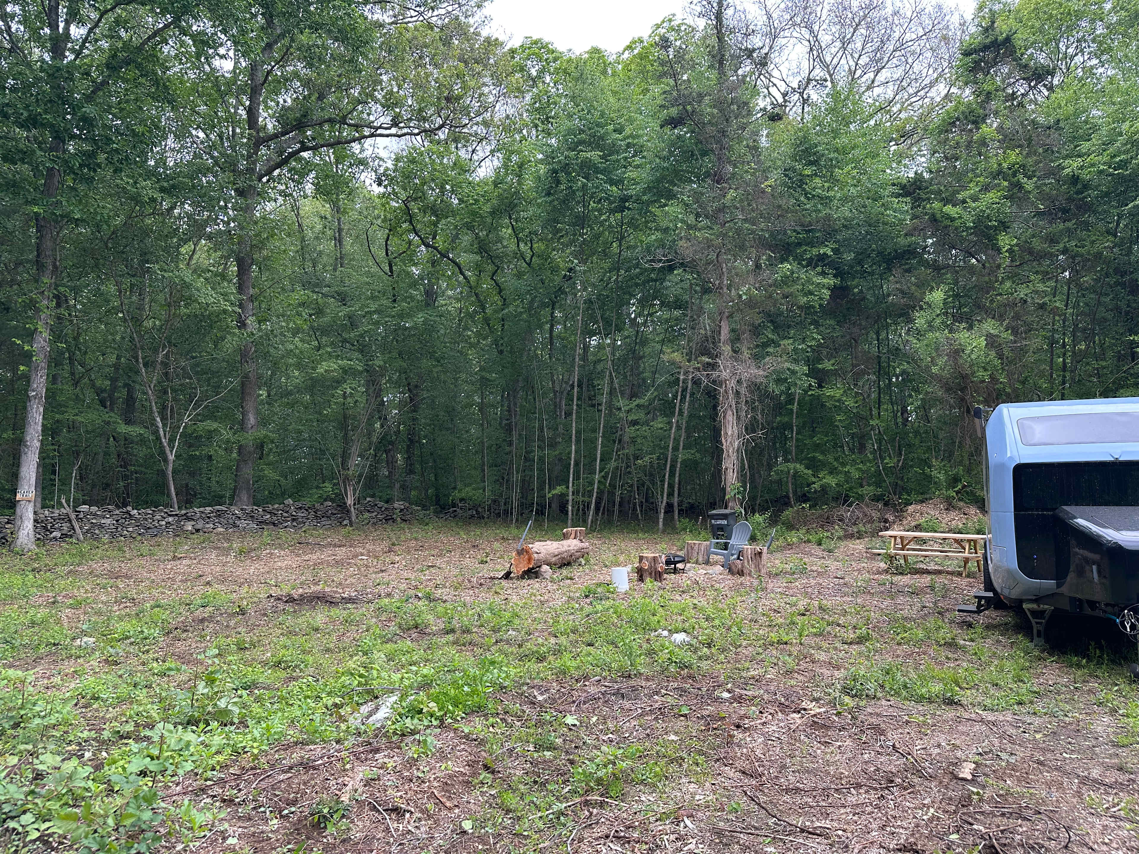 Picture of the site