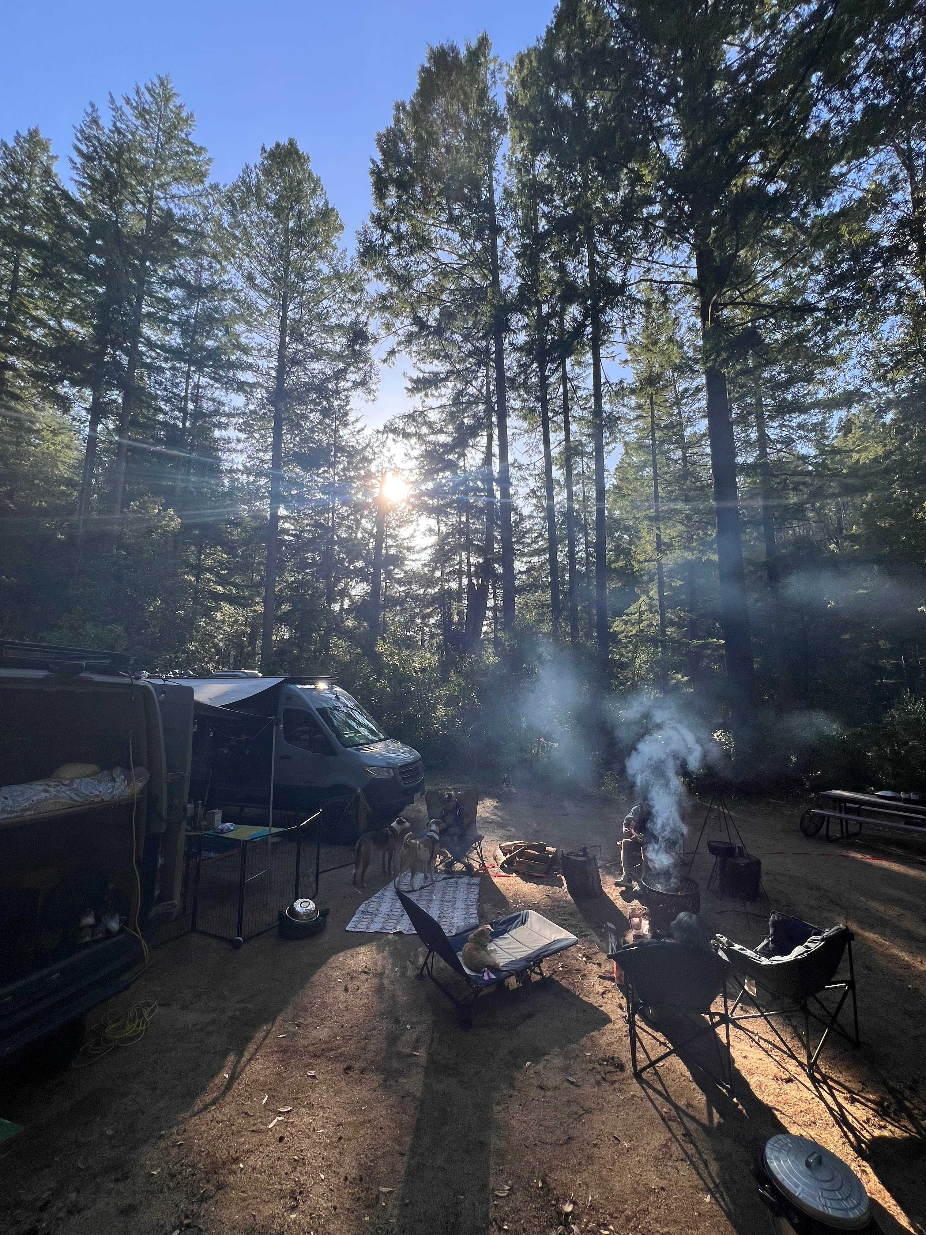 BANKS RANCH IN THE REDWOODS