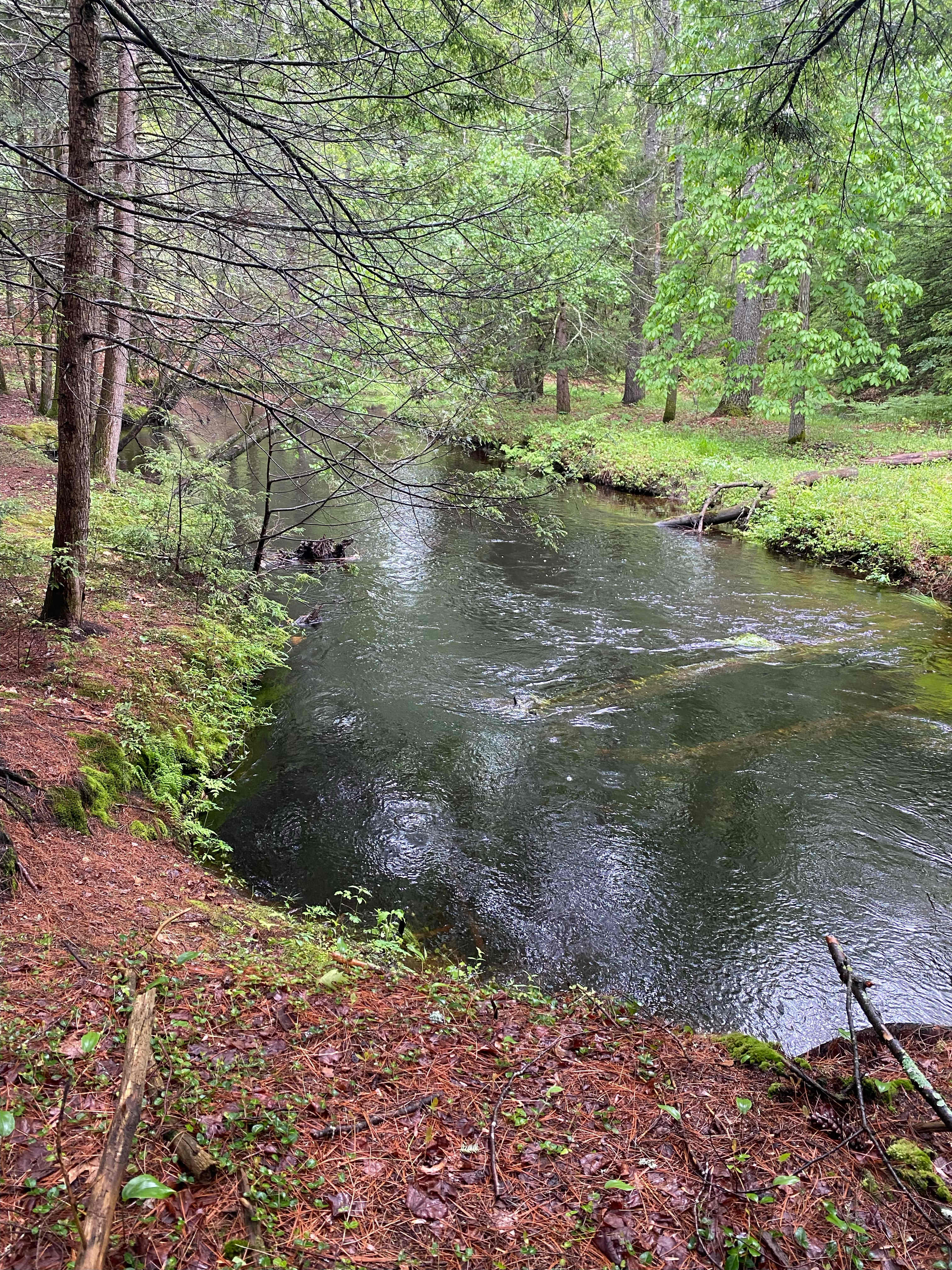 Little River Retreat