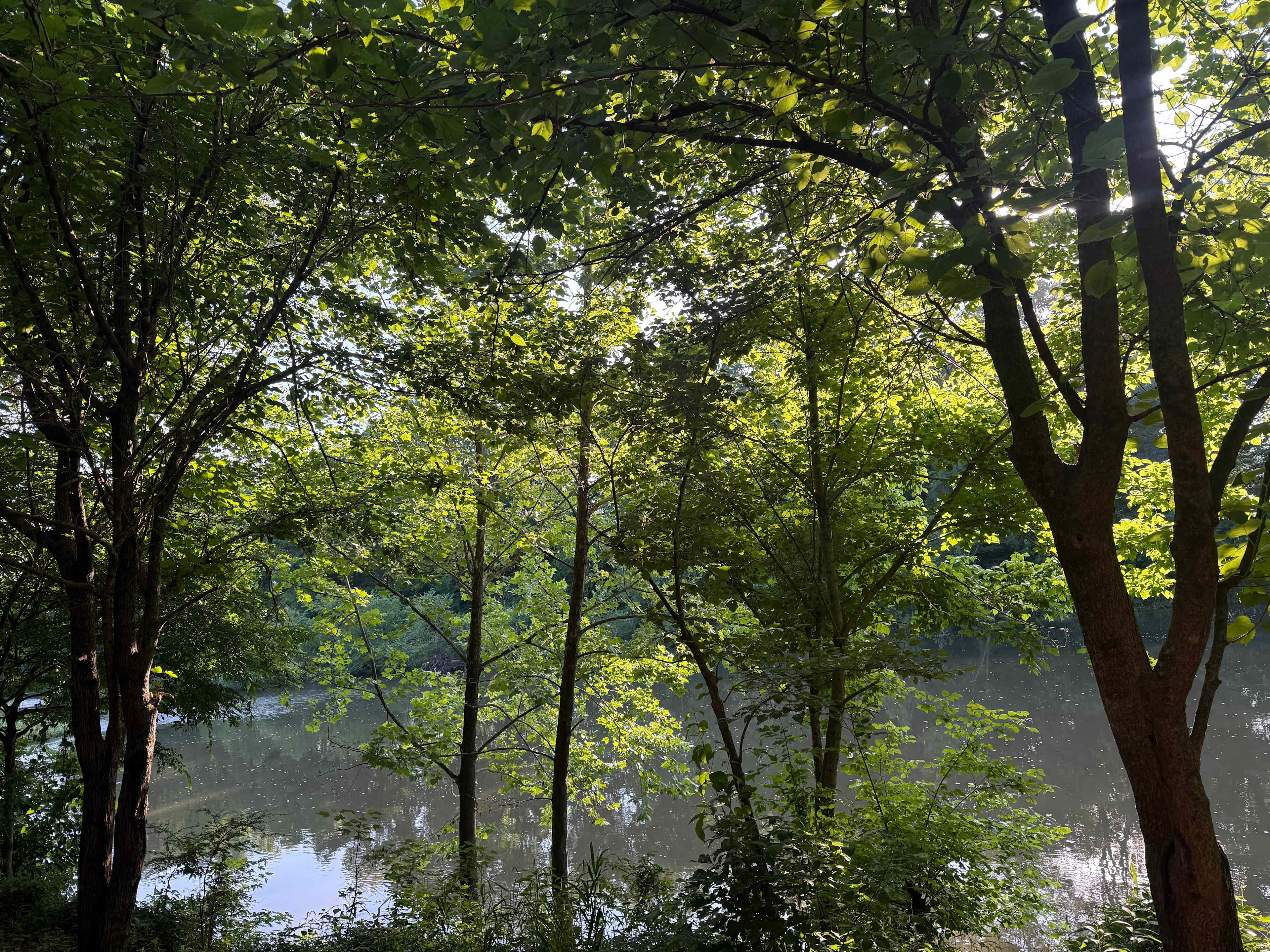 Ouachita River Haven