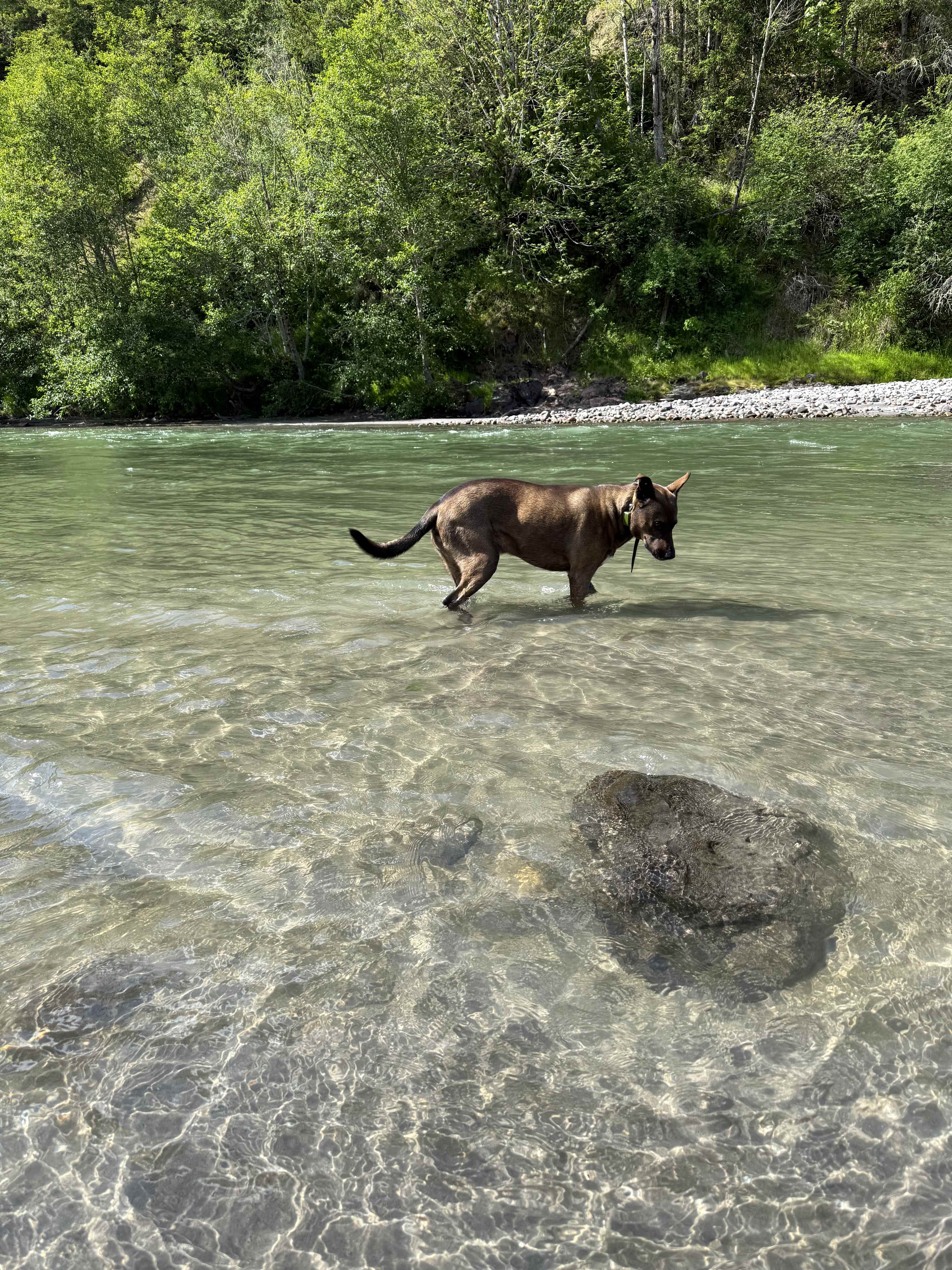 HoHo Farms - Camping @ The River