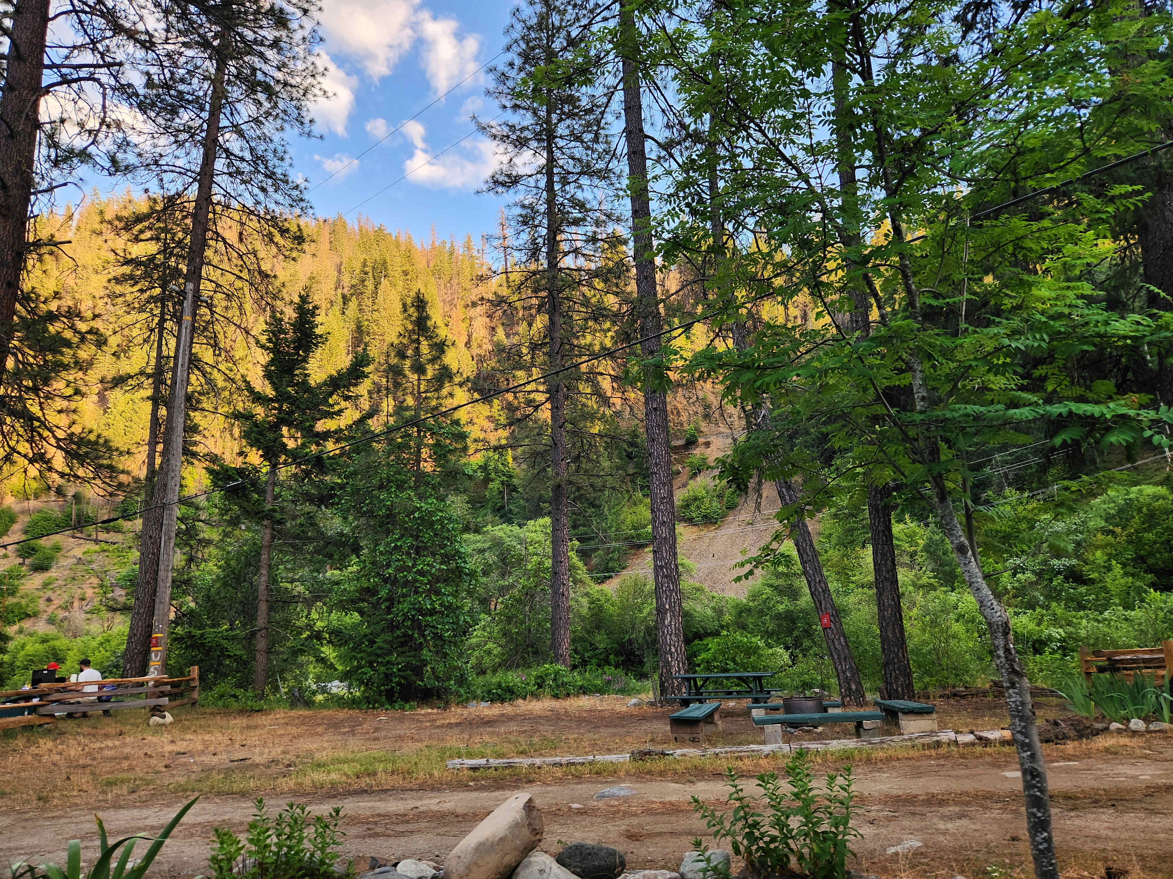View from rv site #5