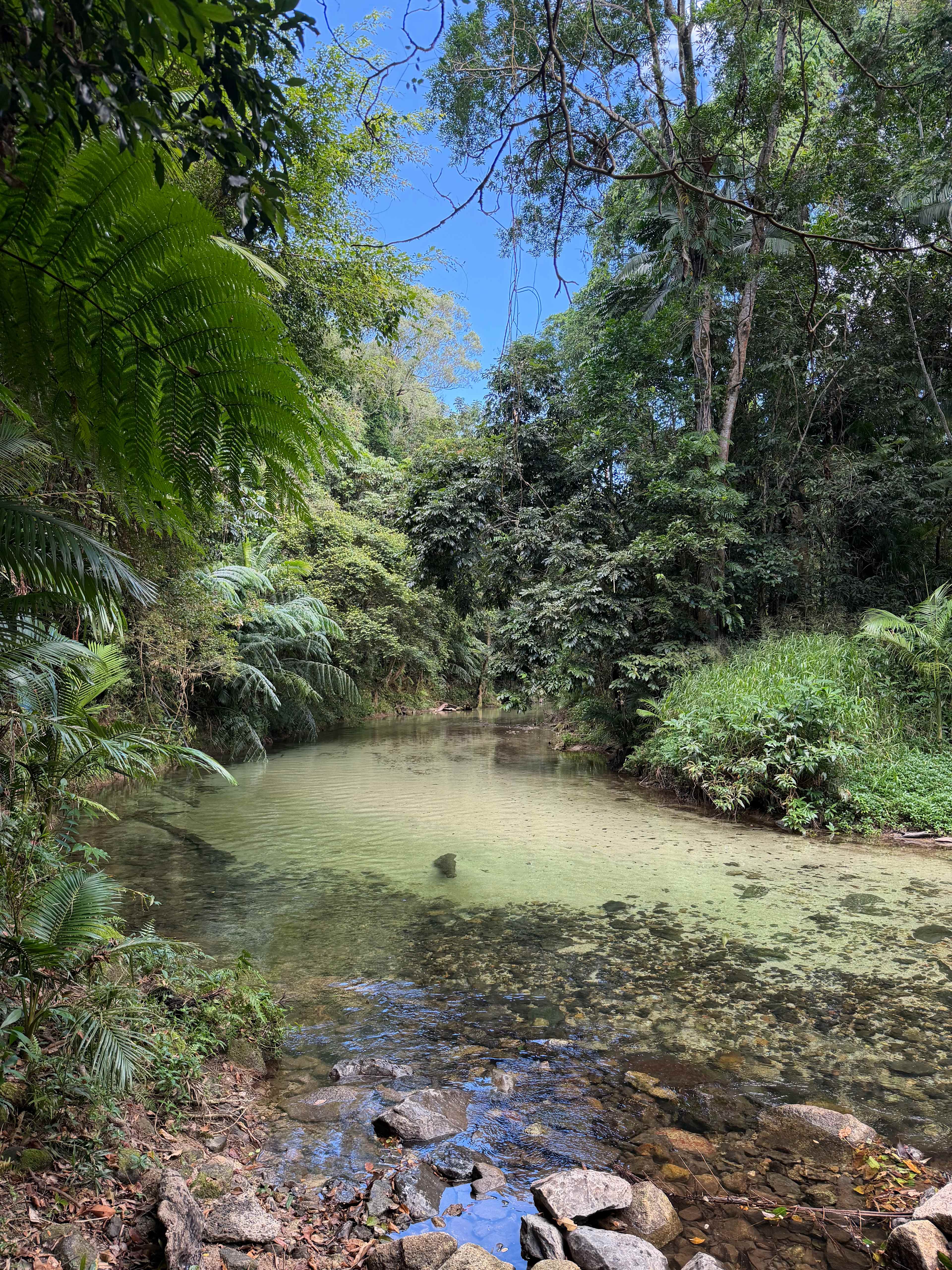 Paradise Camps