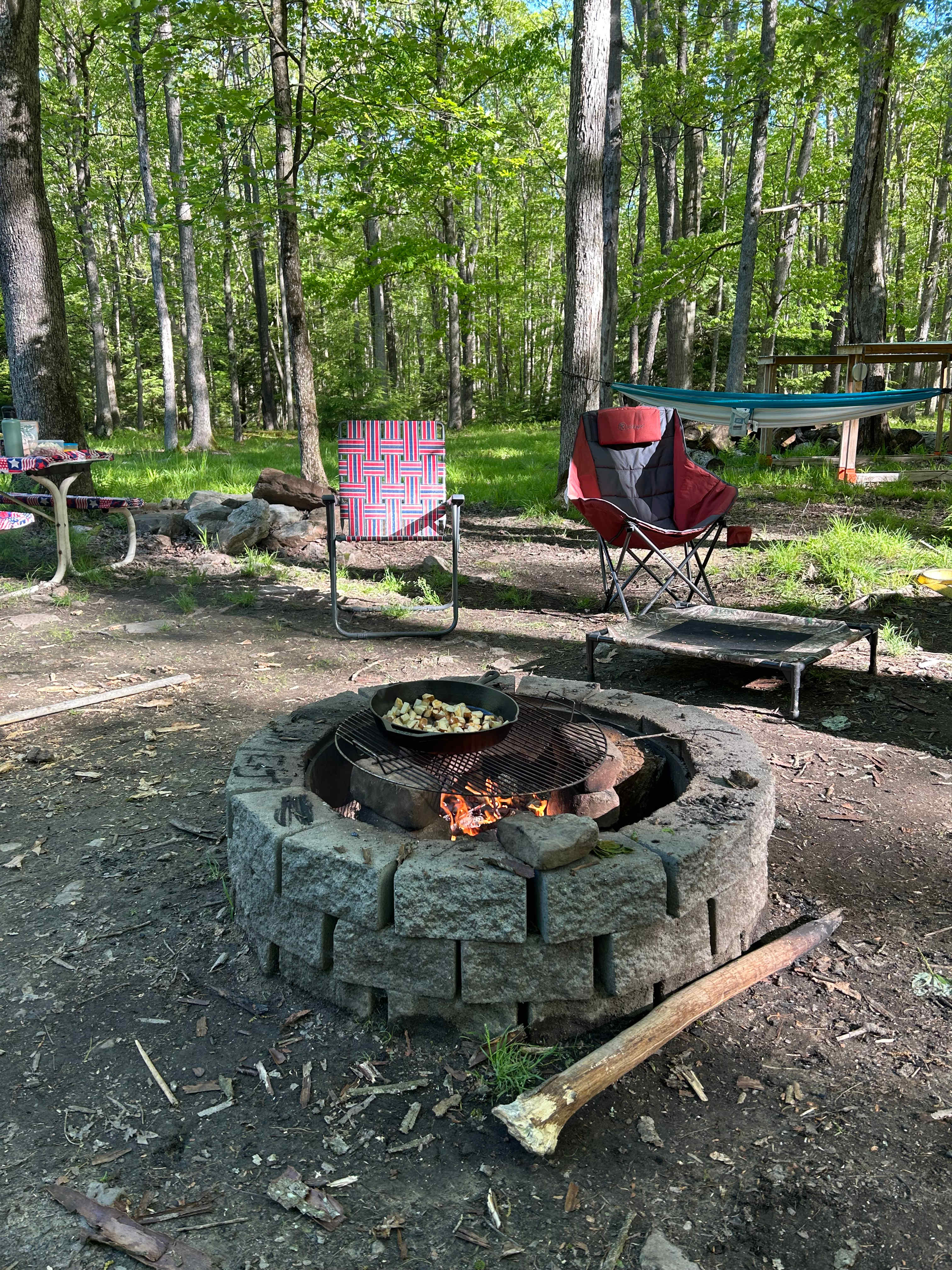 Clear Creek Cook Forest Campsite