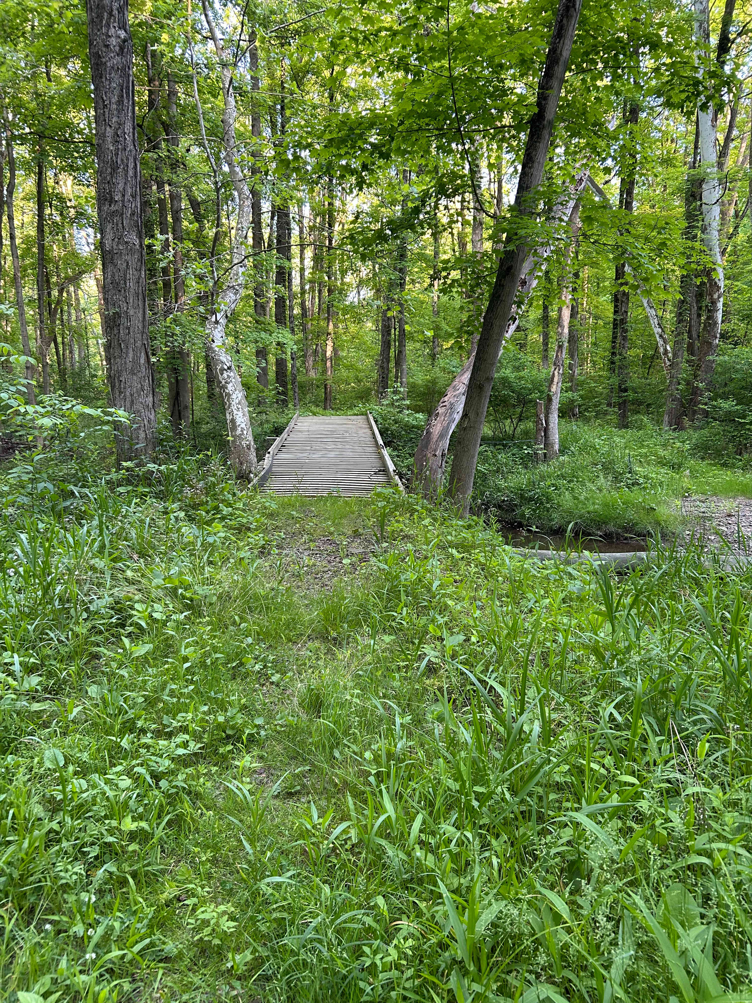 Bass and Buck Tent Adventures