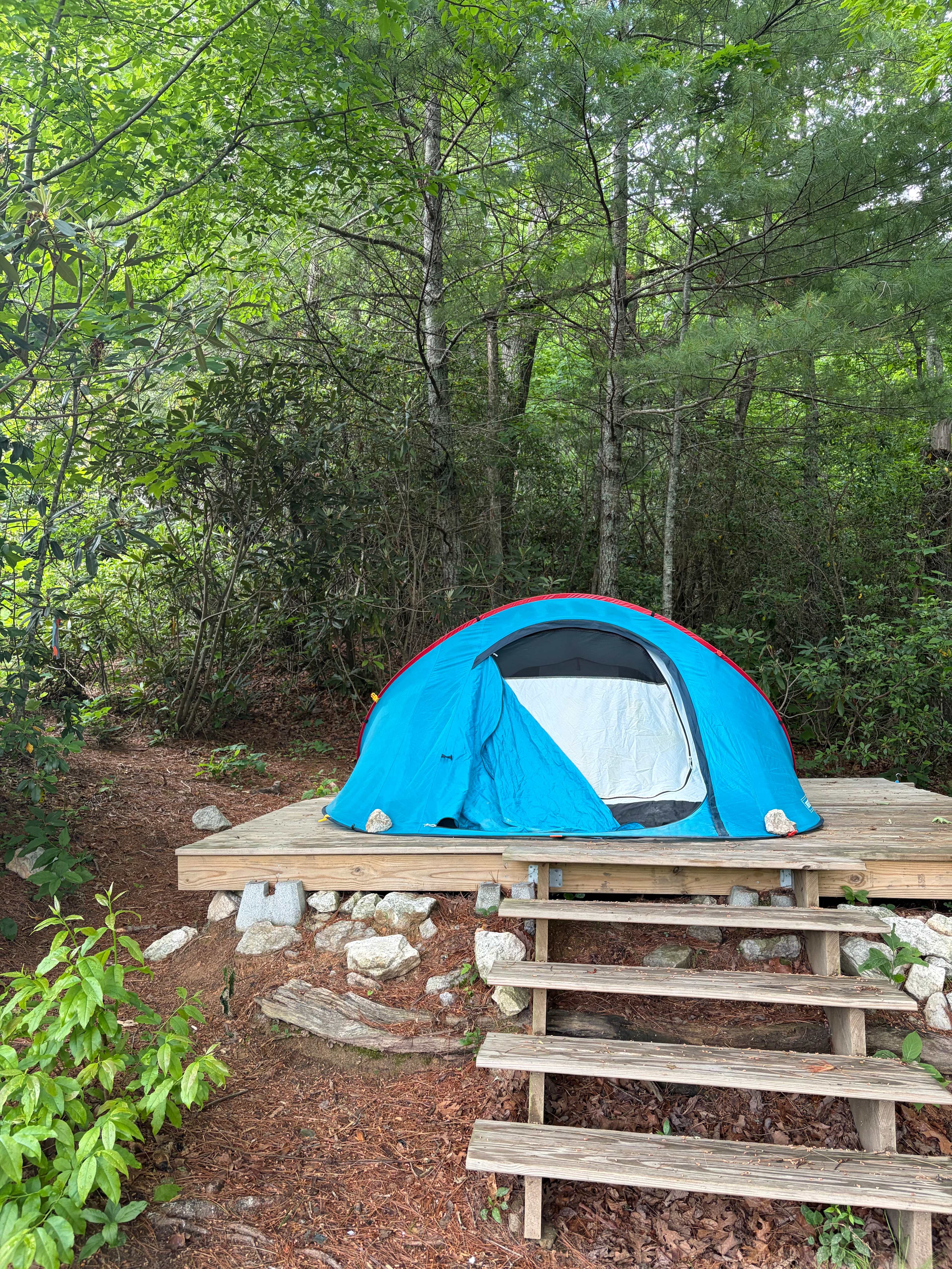 Gusher Knob