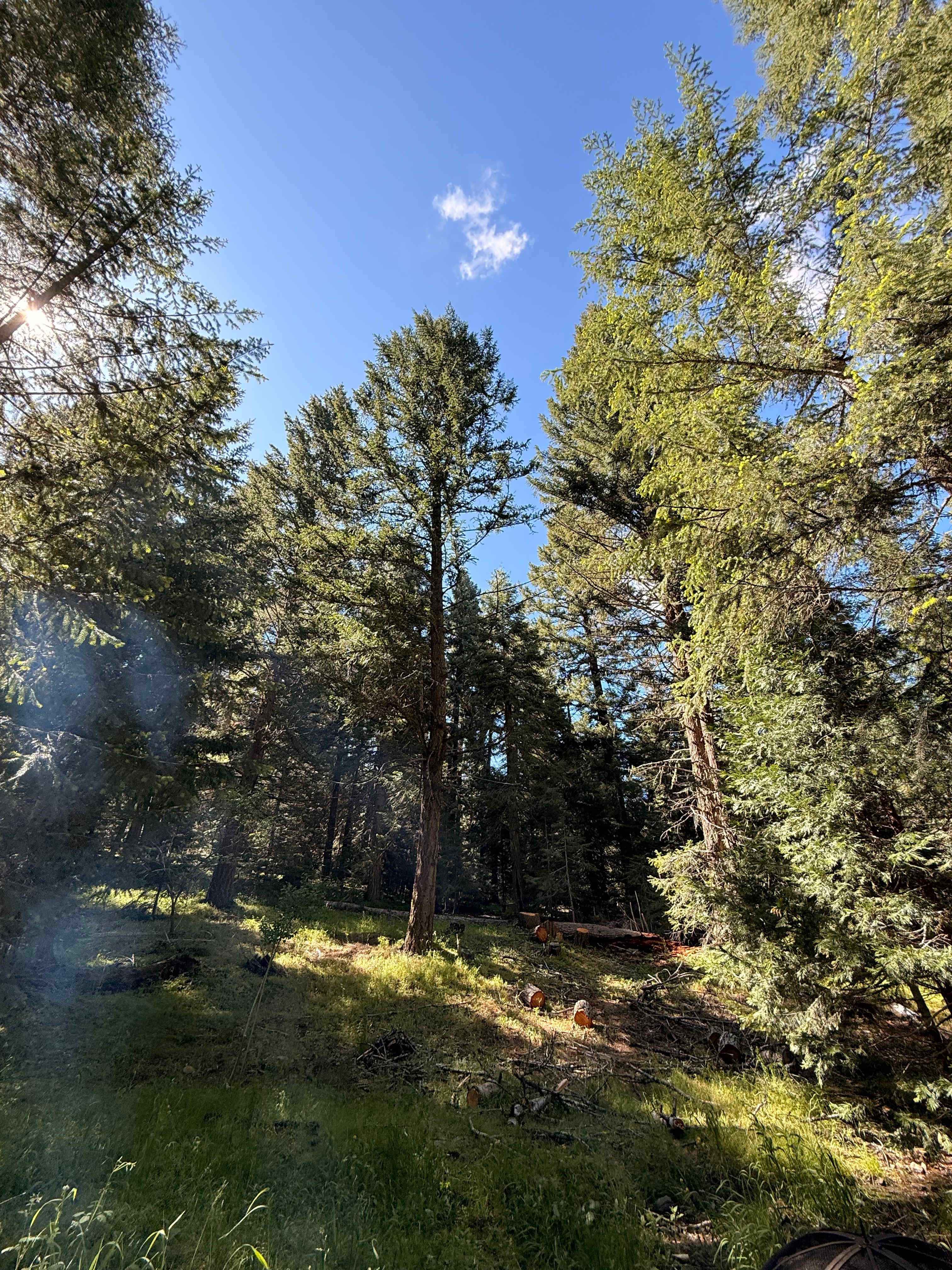 Owl Creek Cabin Mountain Getaway