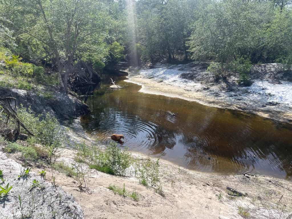 Blackwater Ranch - River Camping