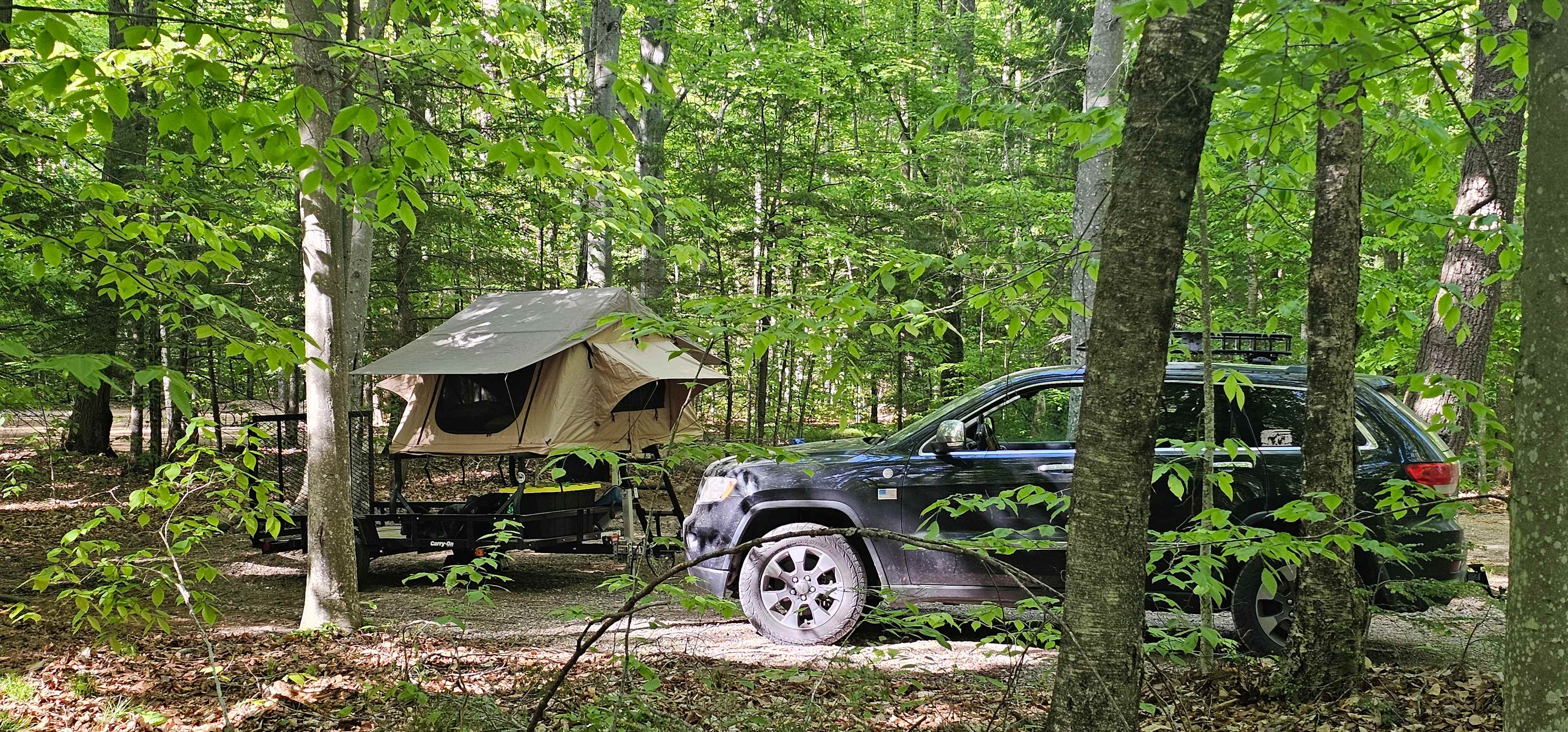 River Forest Campground & Rafting