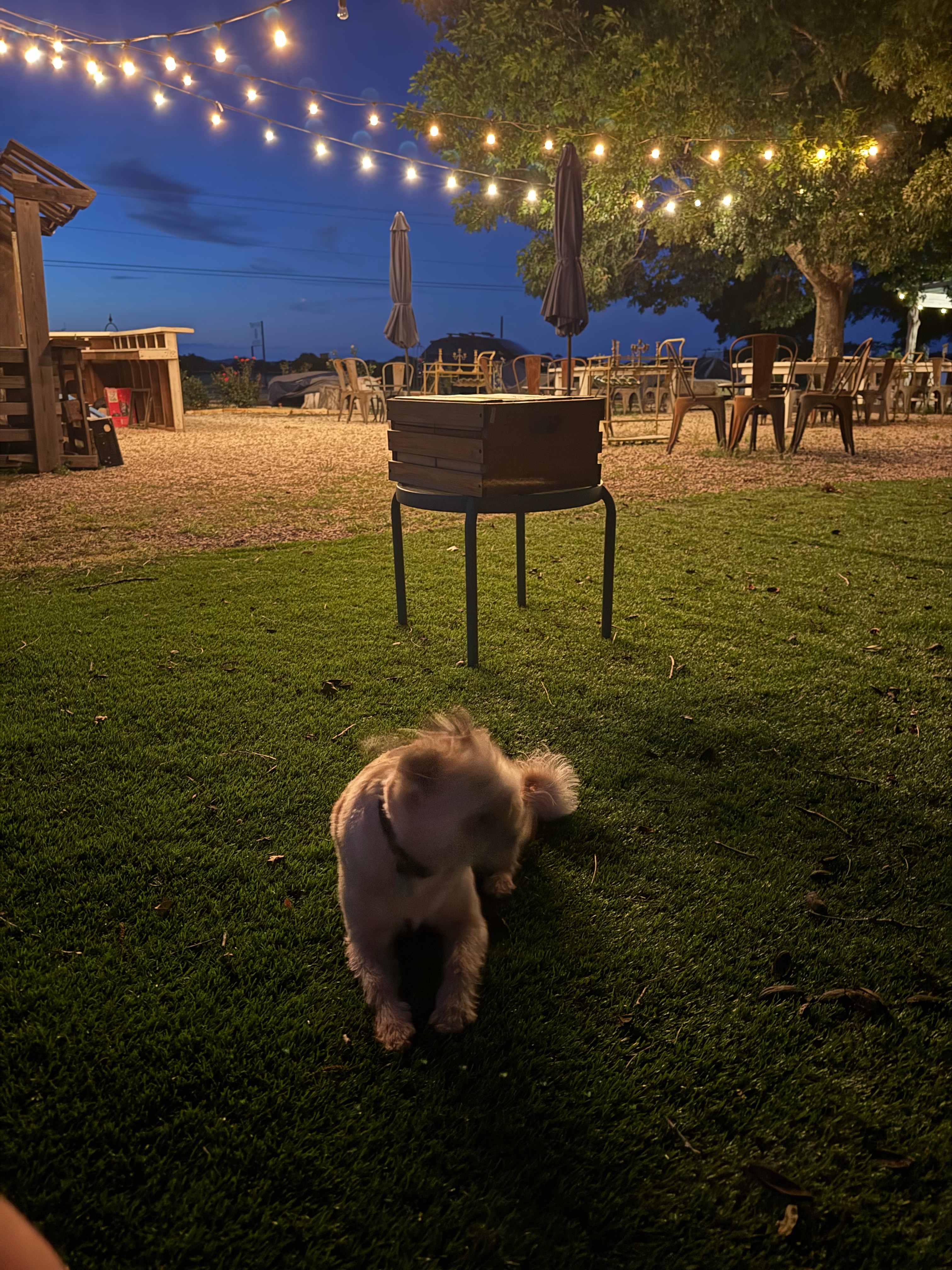 Quite evening to ourselves
